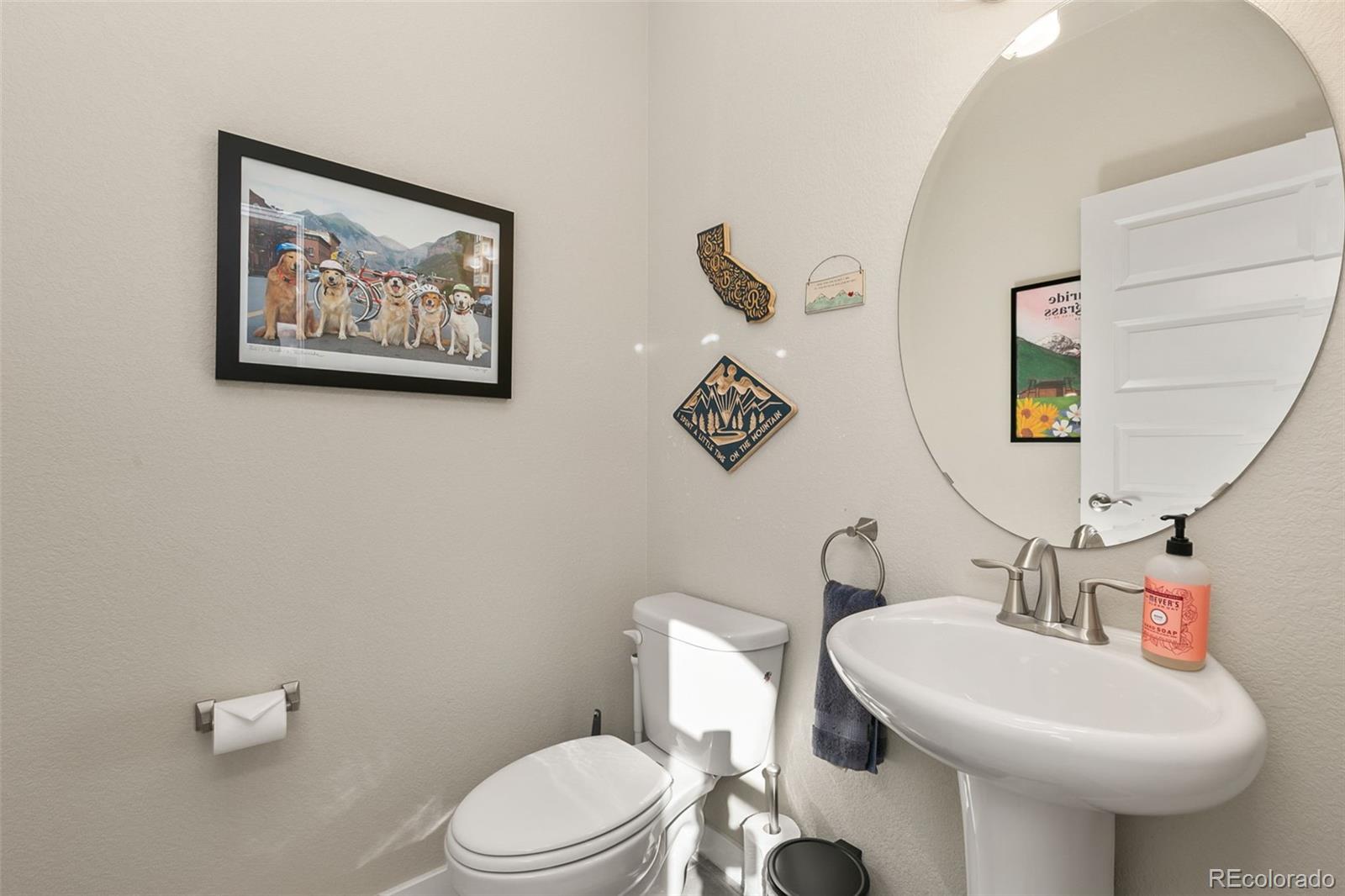 MLS Image #19 for 6018  clarence drive,windsor, Colorado