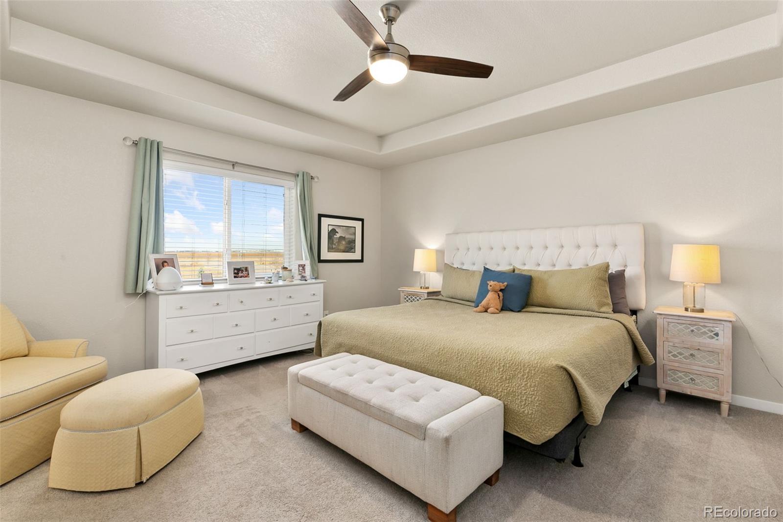 MLS Image #20 for 6018  clarence drive,windsor, Colorado