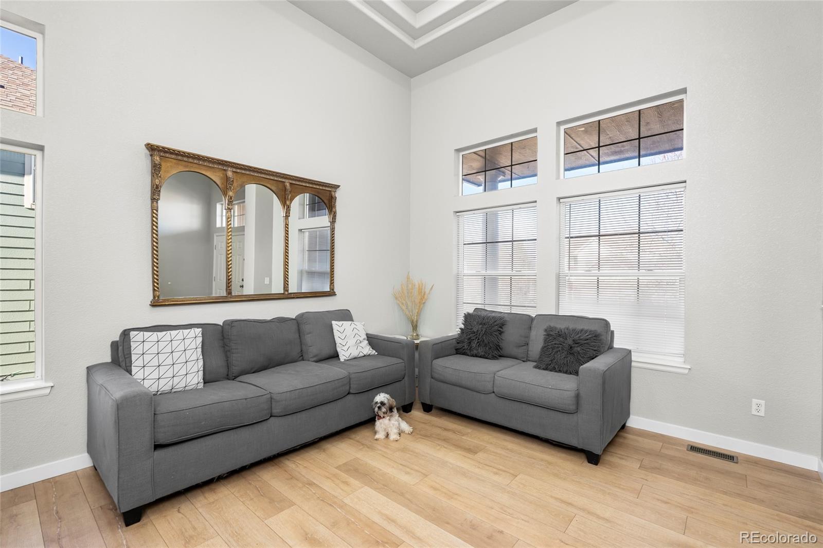 MLS Image #10 for 22678 e lake place,centennial, Colorado