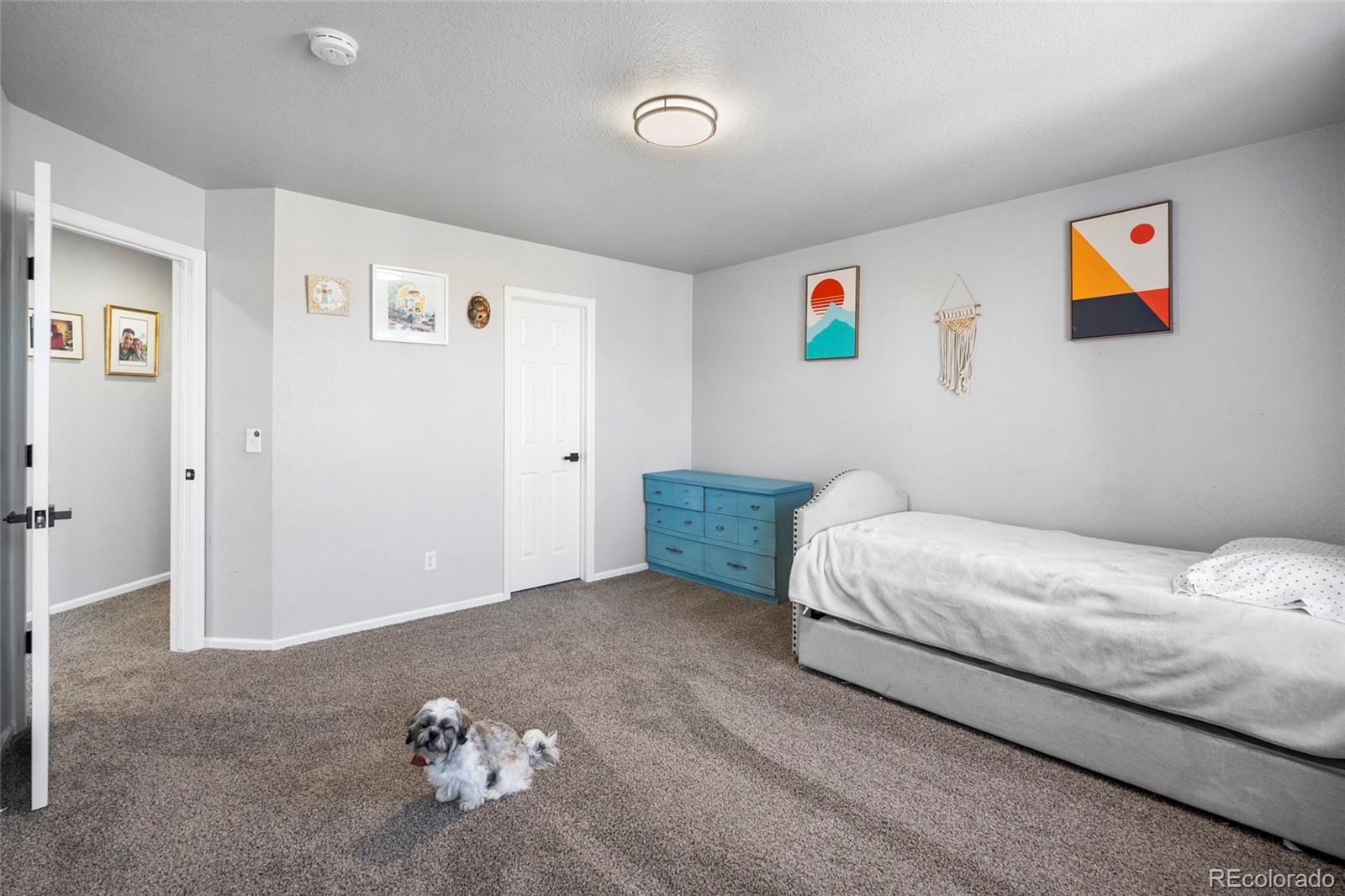 MLS Image #30 for 22678 e lake place,centennial, Colorado
