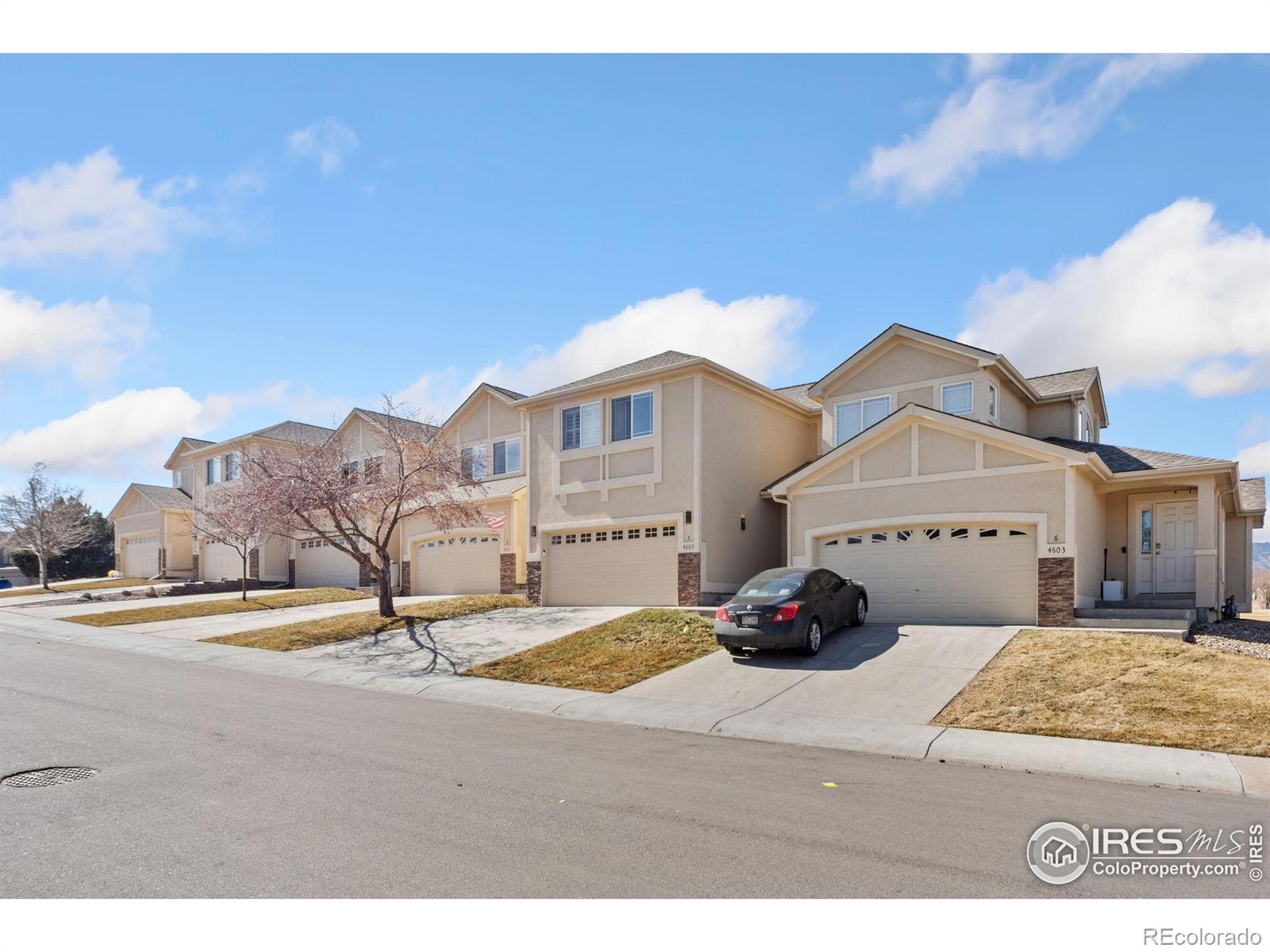 MLS Image #1 for 4603  chokecherry trail,fort collins, Colorado