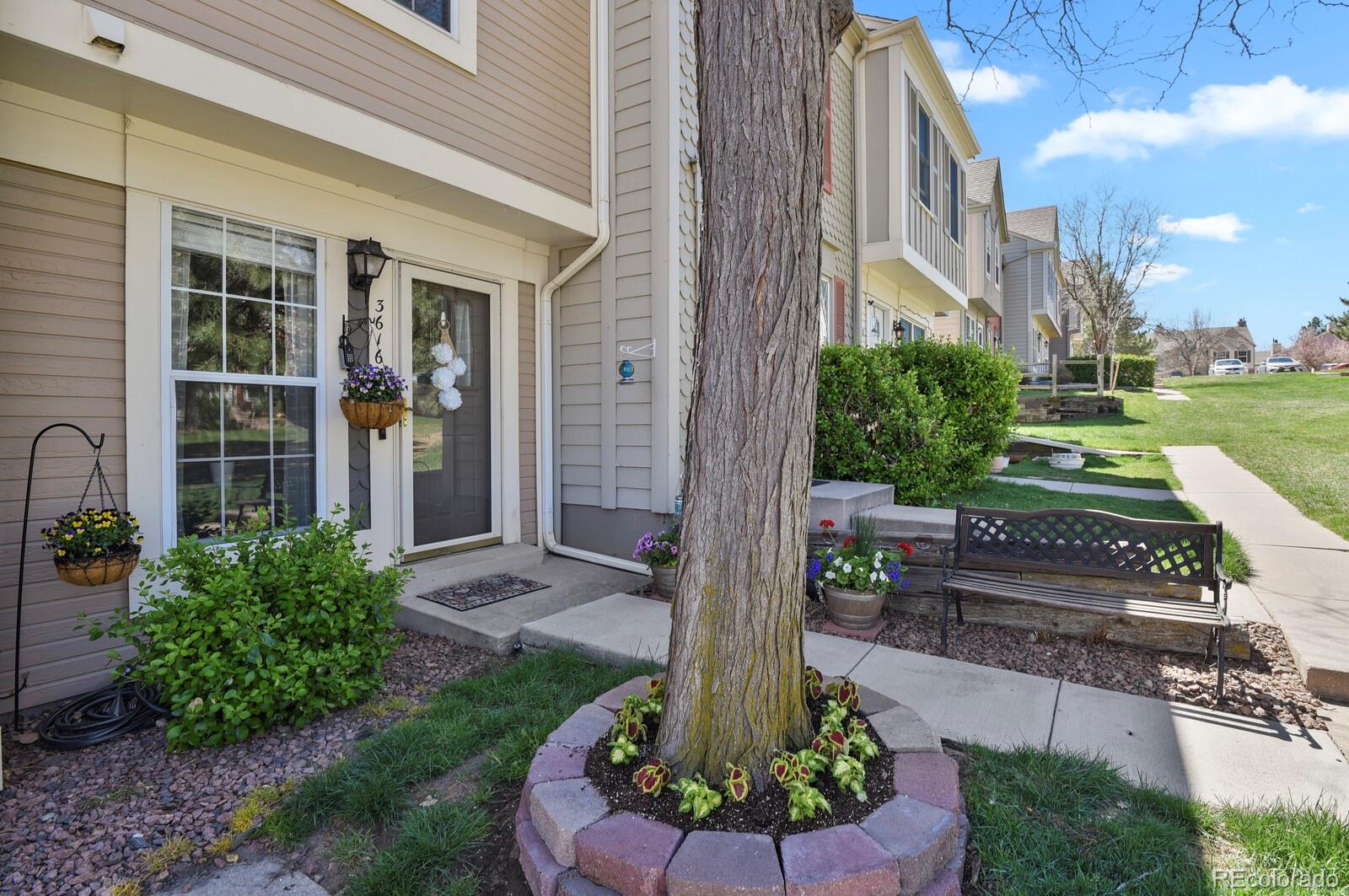 MLS Image #3 for 3616  queen anne way,colorado springs, Colorado
