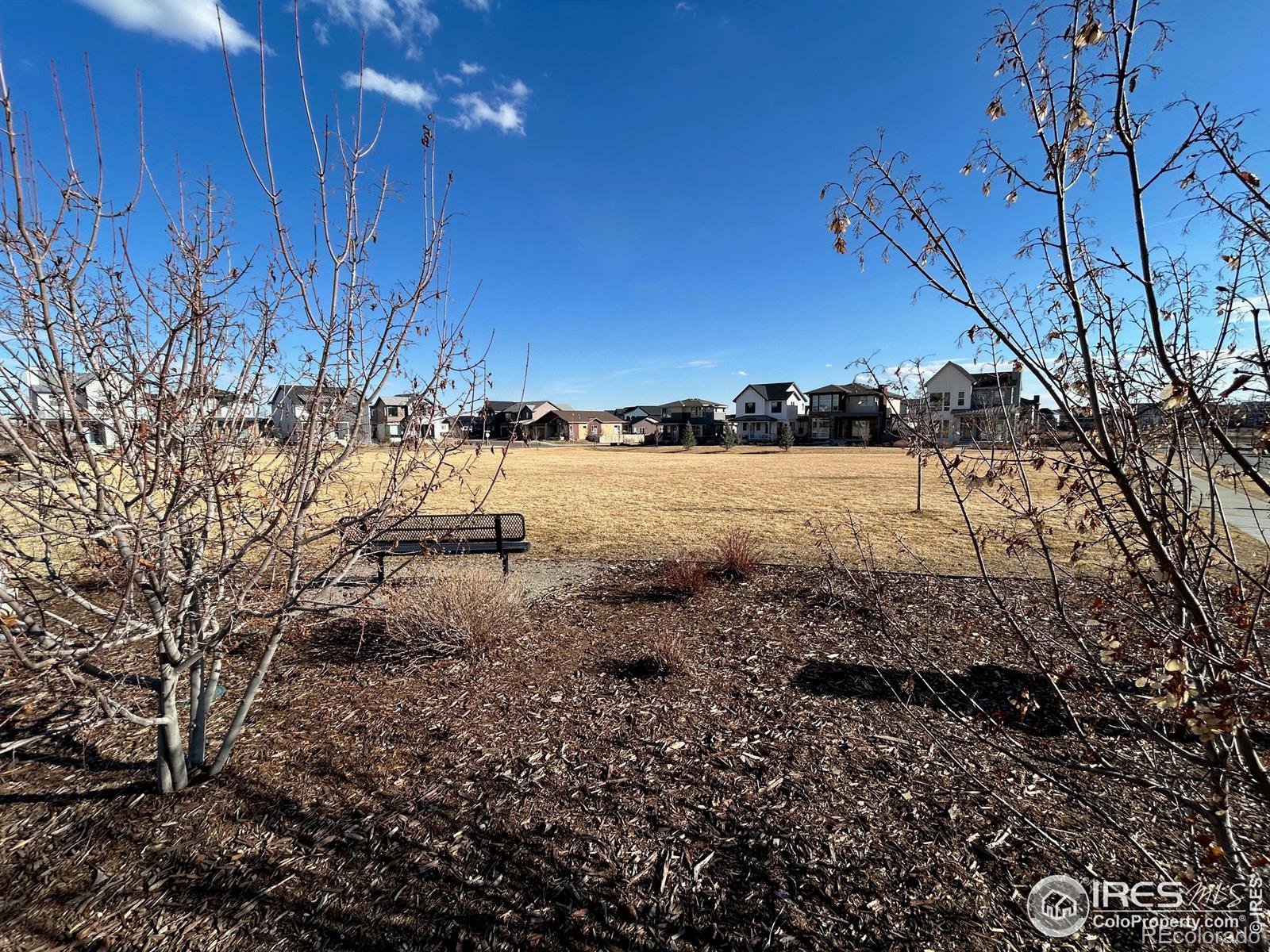 MLS Image #31 for 5626  four leaf drive,longmont, Colorado