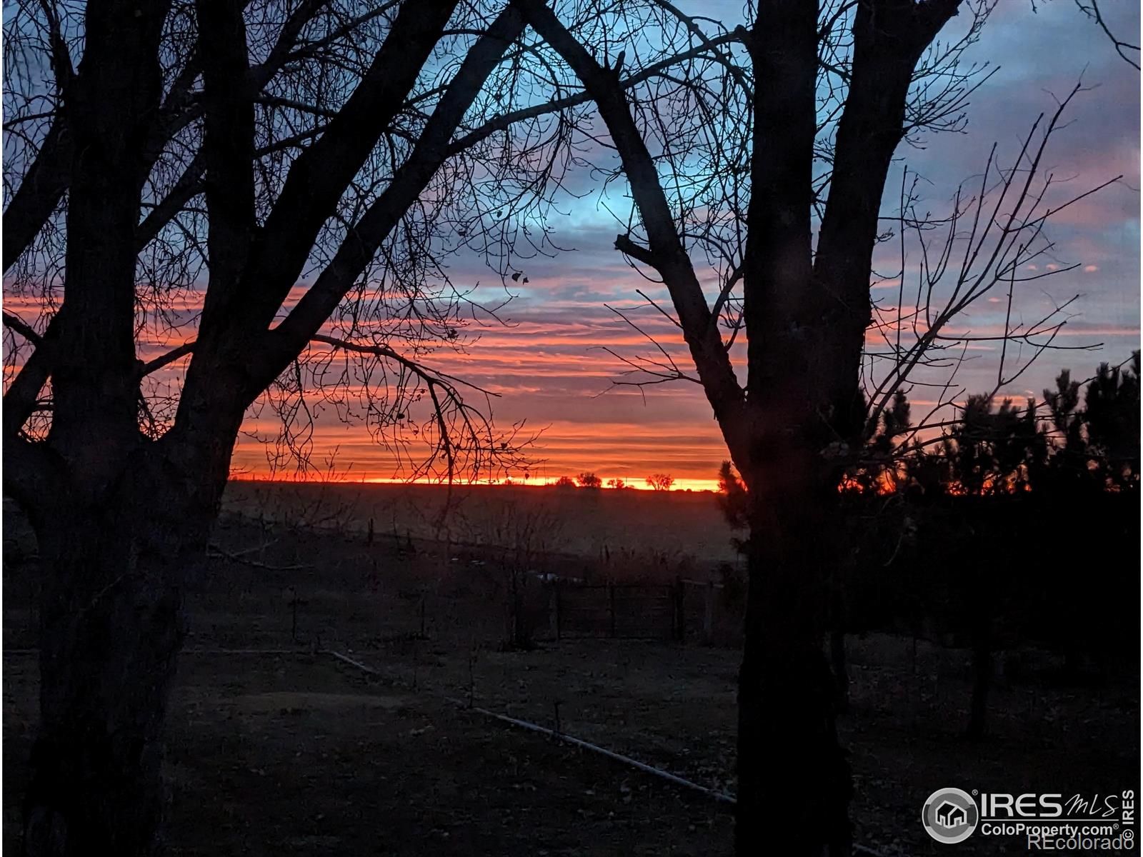 MLS Image #38 for 39856  county road 33 ,ault, Colorado