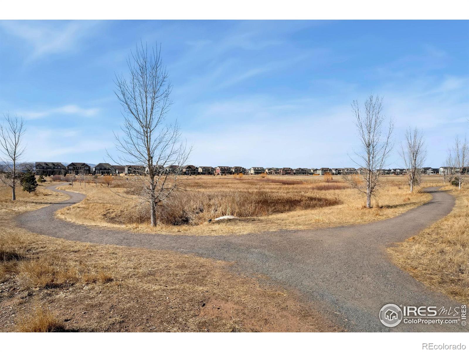 MLS Image #21 for 2938  barnstormer street,fort collins, Colorado