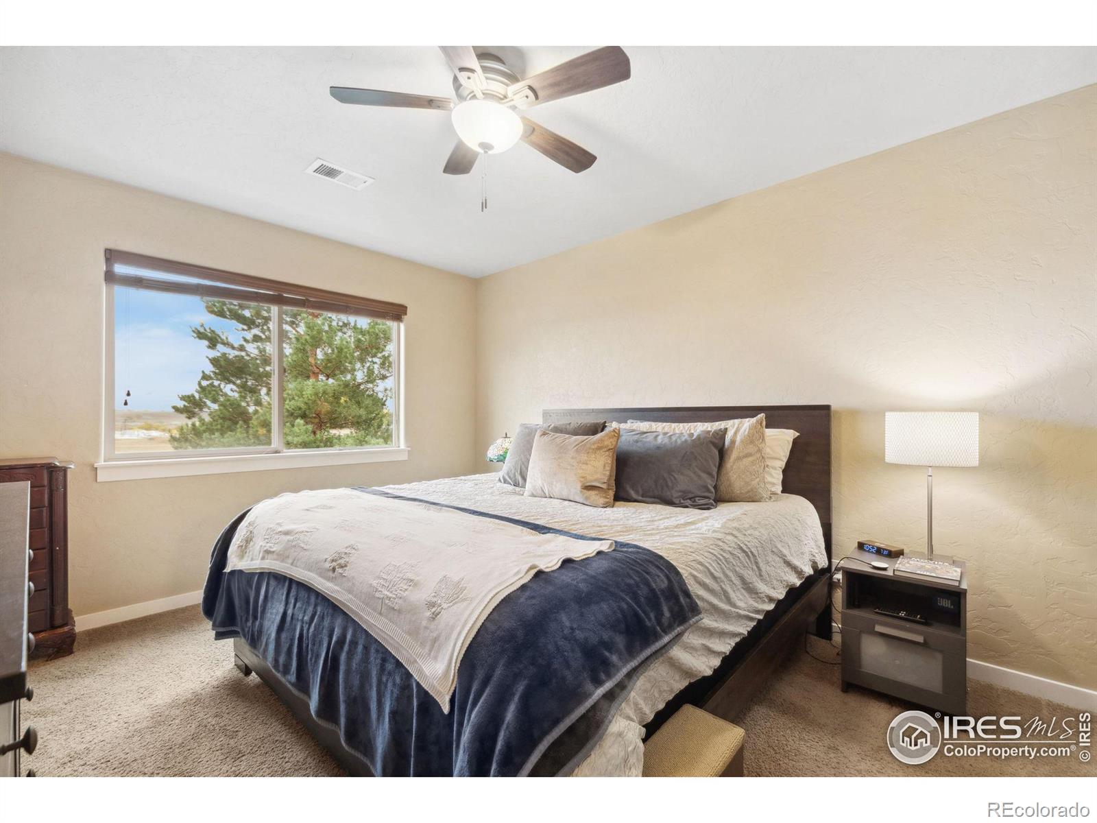 MLS Image #21 for 195  carina circle,loveland, Colorado