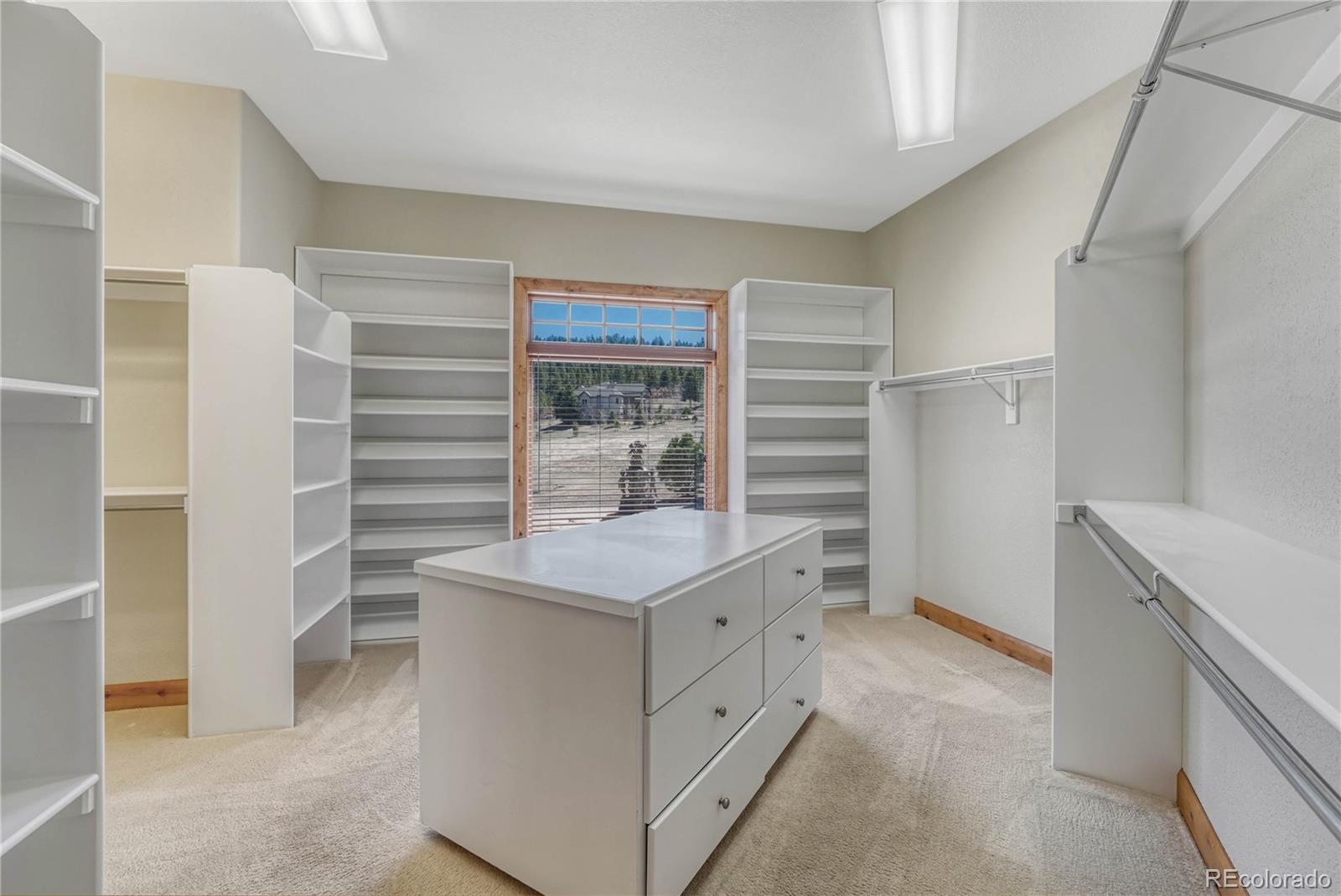 MLS Image #12 for 1252  rosewind circle,castle rock, Colorado