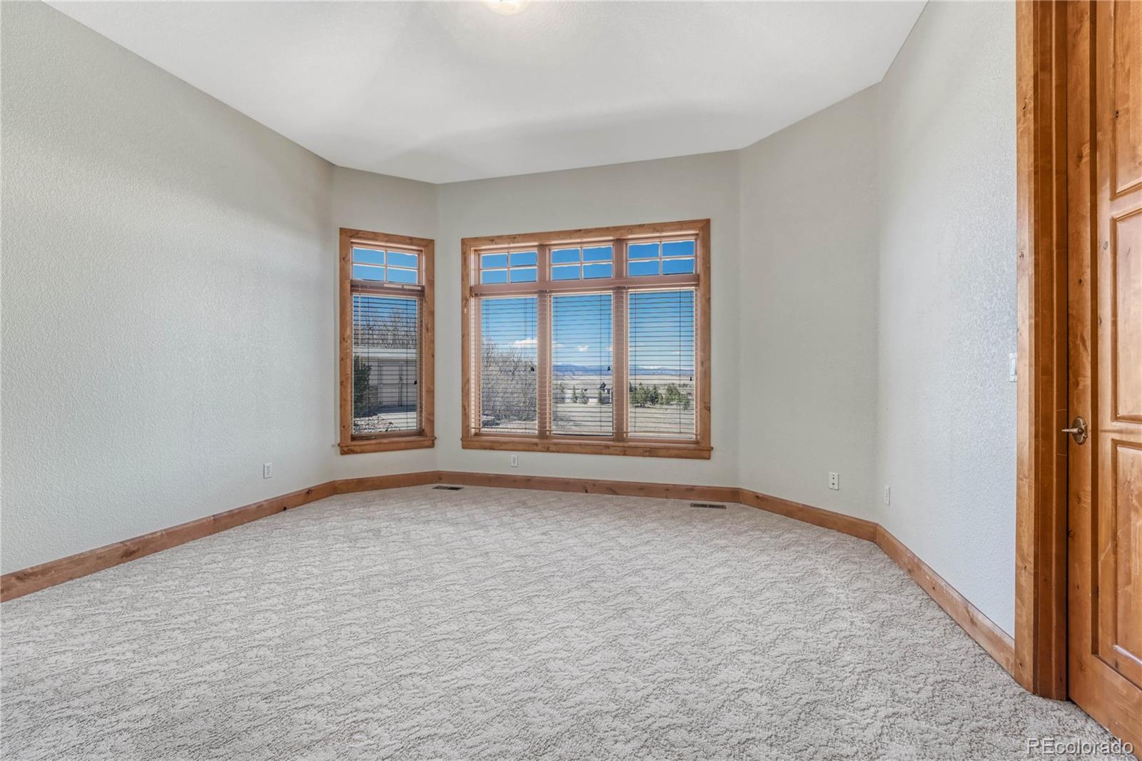 MLS Image #19 for 1252  rosewind circle,castle rock, Colorado