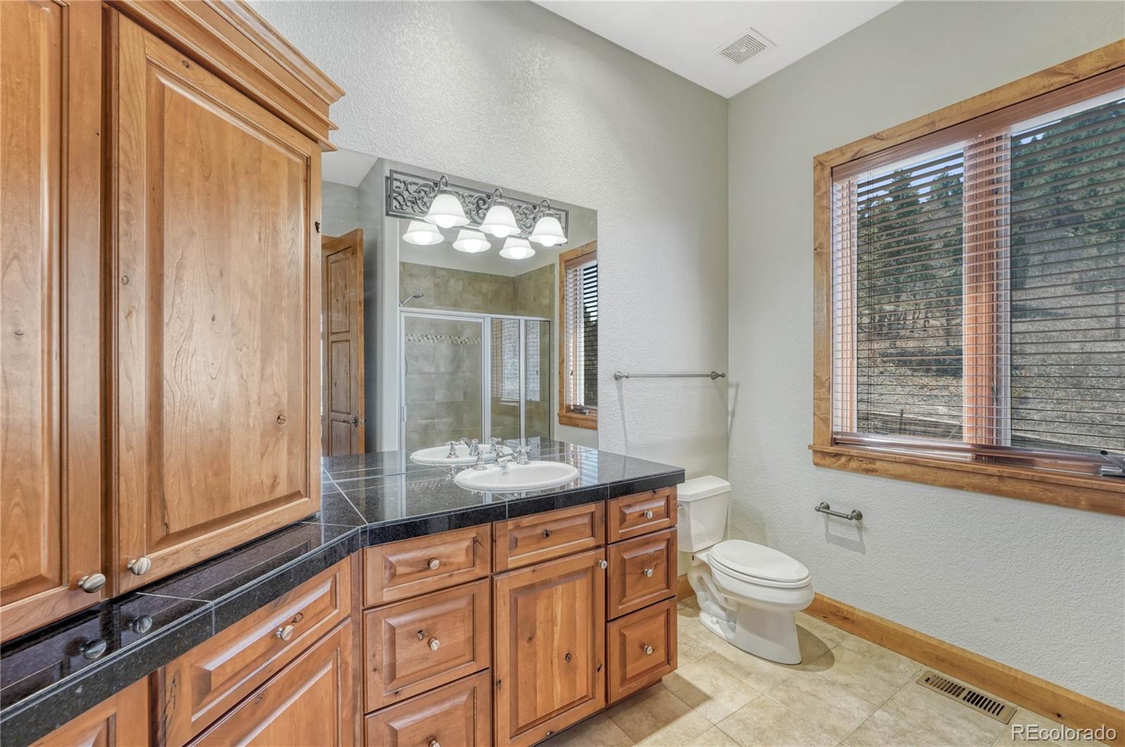 MLS Image #21 for 1252  rosewind circle,castle rock, Colorado