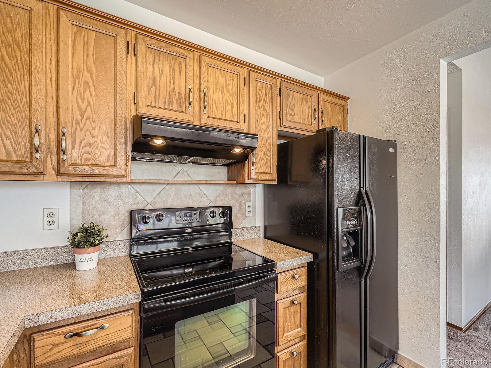 MLS Image #11 for 10443 w 84th place,arvada, Colorado