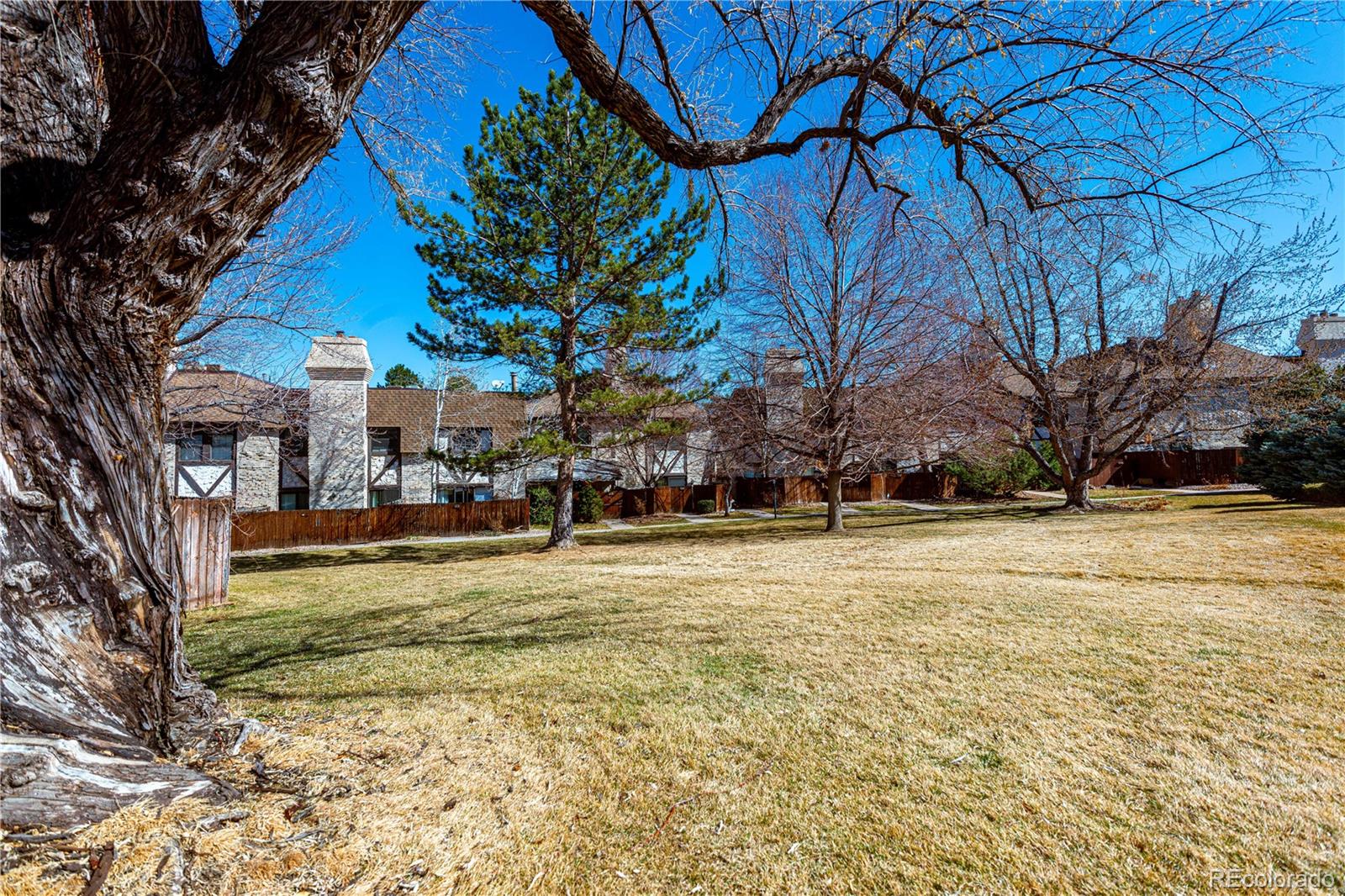 MLS Image #27 for 4250 s olive street,denver, Colorado