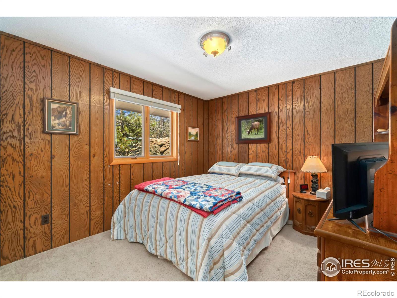 MLS Image #14 for 76  piney knolls drive,red feather lakes, Colorado