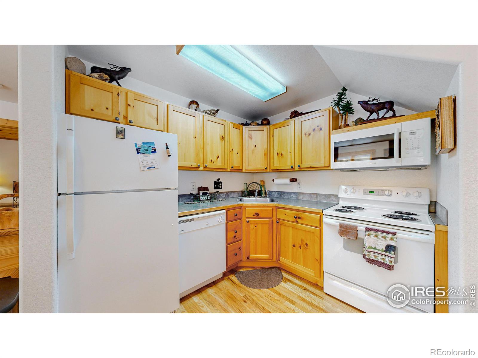 MLS Image #3 for 1516  fish hatchery road,estes park, Colorado