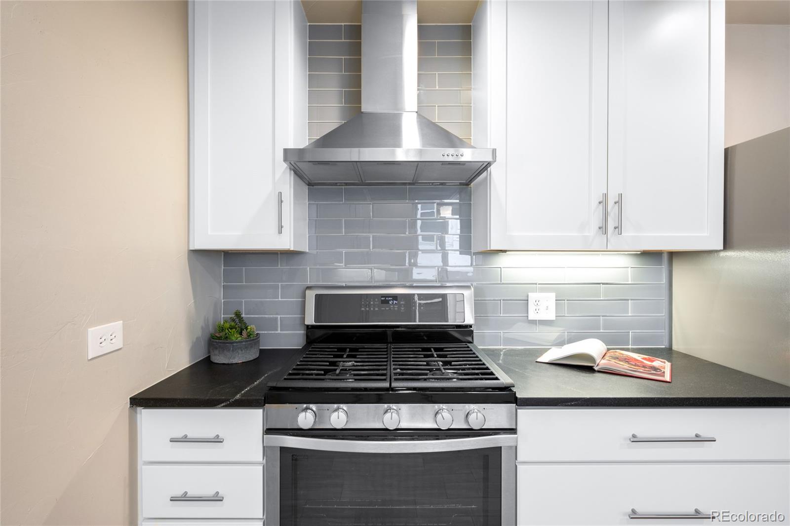 MLS Image #10 for 2686 s gilpin street,denver, Colorado