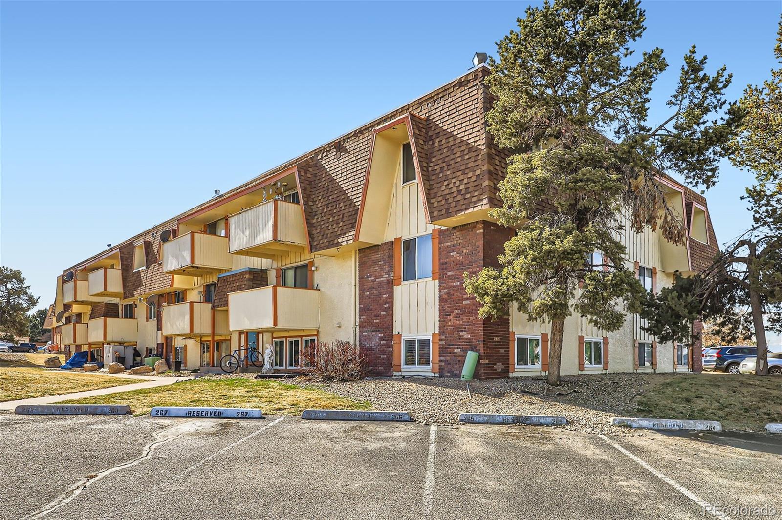 MLS Image #1 for 10211  ura lane 304,thornton, Colorado