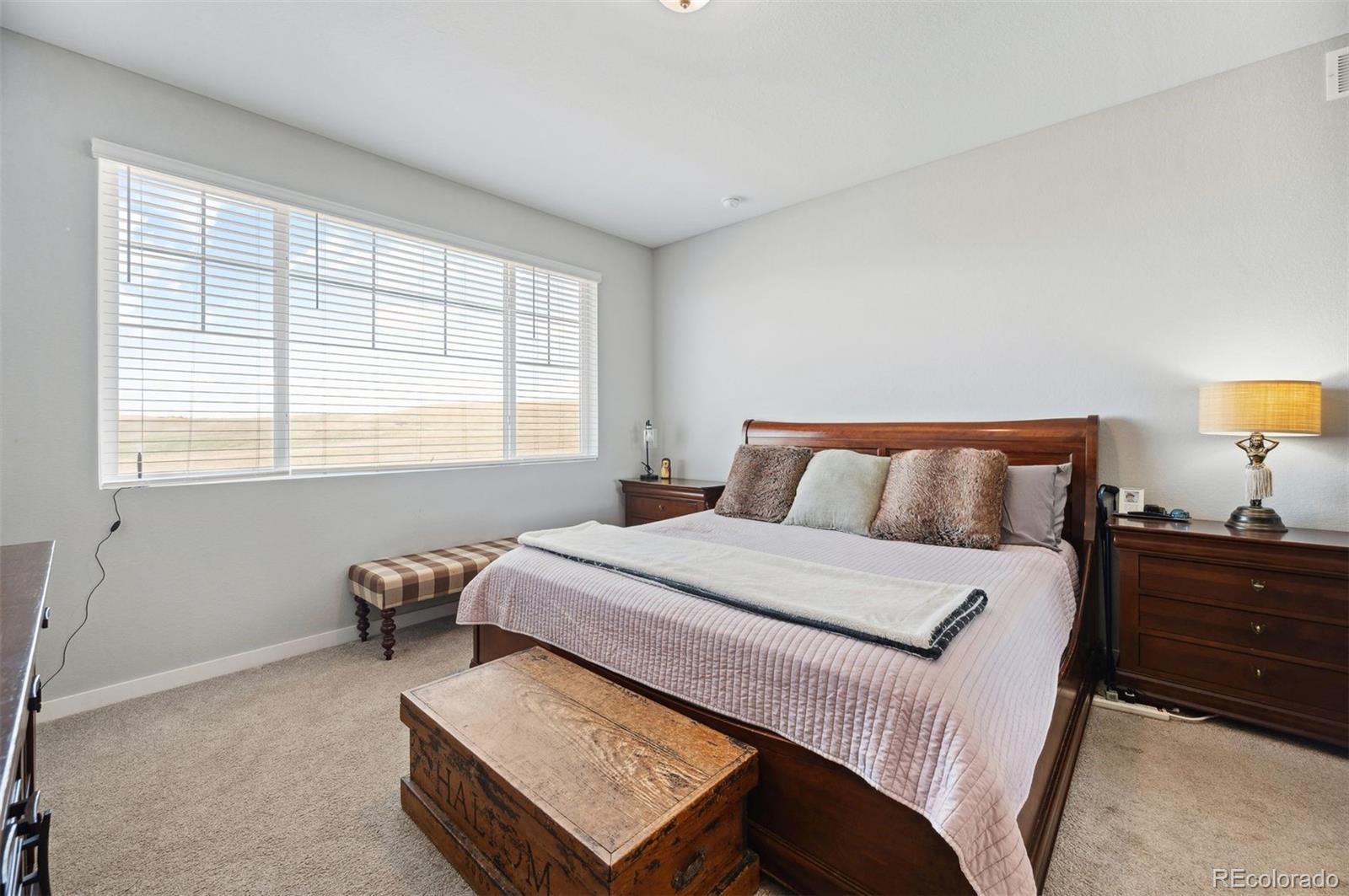 MLS Image #16 for 8346  mount kataka street,littleton, Colorado