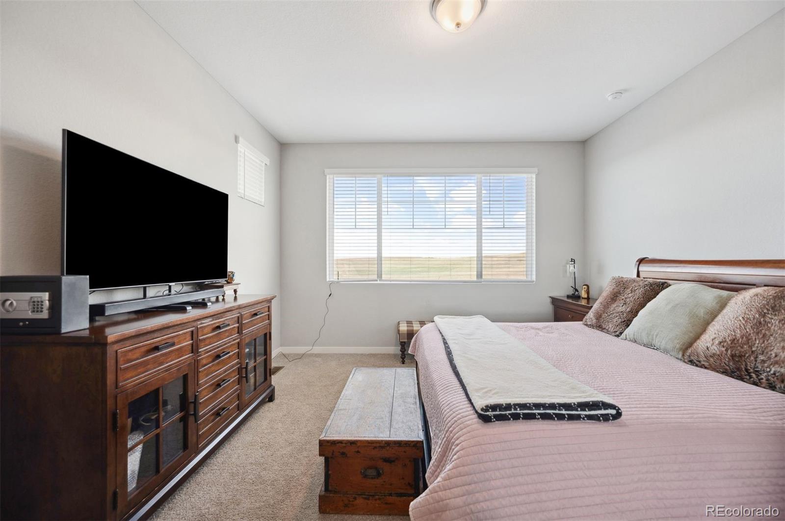 MLS Image #17 for 8346  mount kataka street,littleton, Colorado