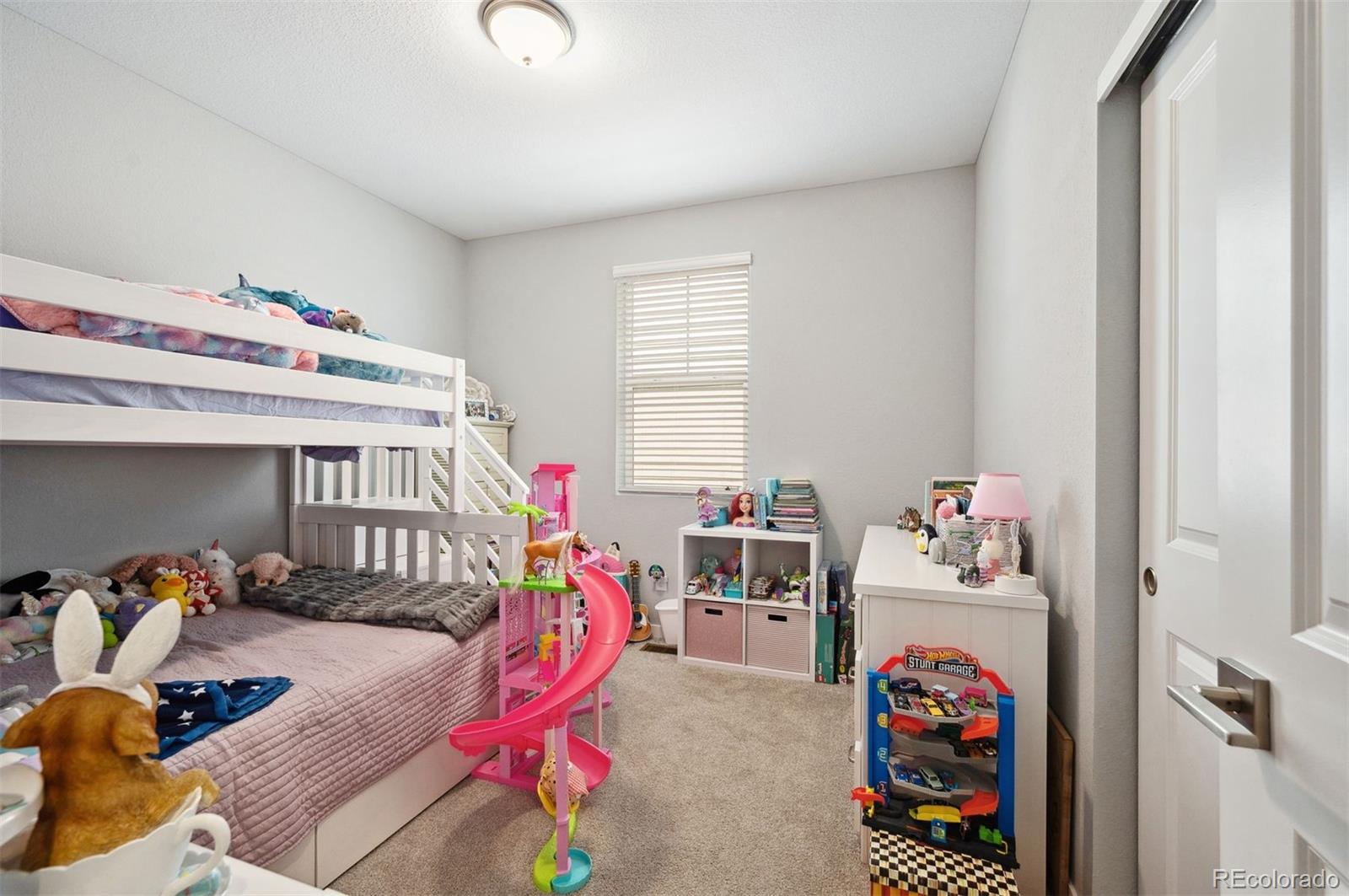 MLS Image #20 for 8346  mount kataka street,littleton, Colorado