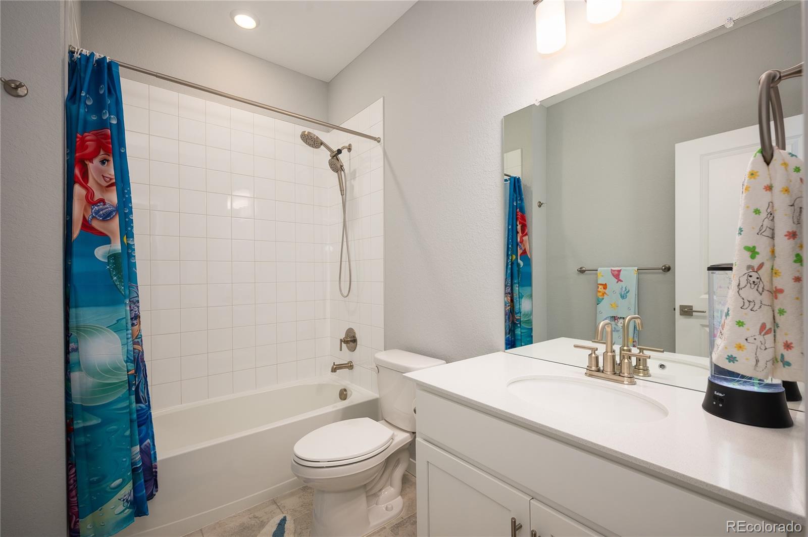 MLS Image #21 for 8346  mount kataka street,littleton, Colorado