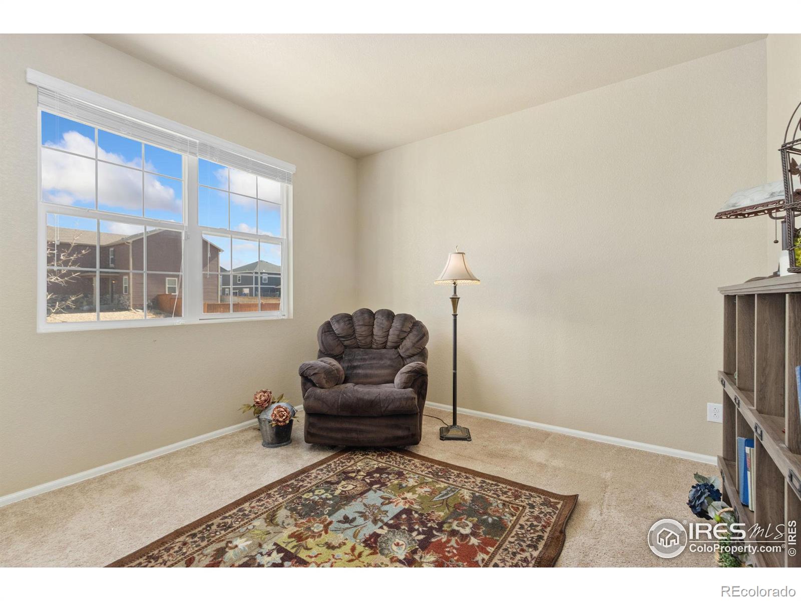 MLS Image #18 for 6463  cranesbill street,wellington, Colorado