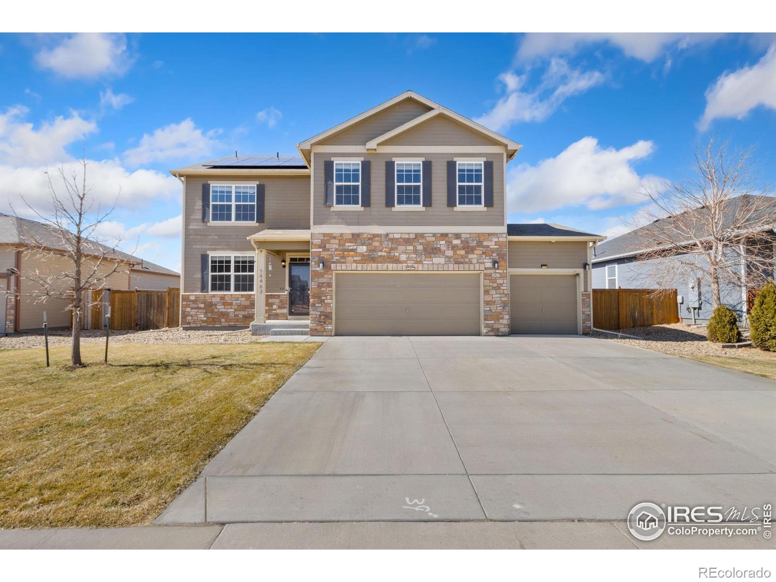 MLS Image #3 for 6463  cranesbill street,wellington, Colorado