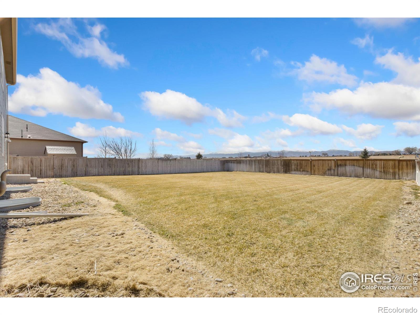 MLS Image #34 for 6463  cranesbill street,wellington, Colorado