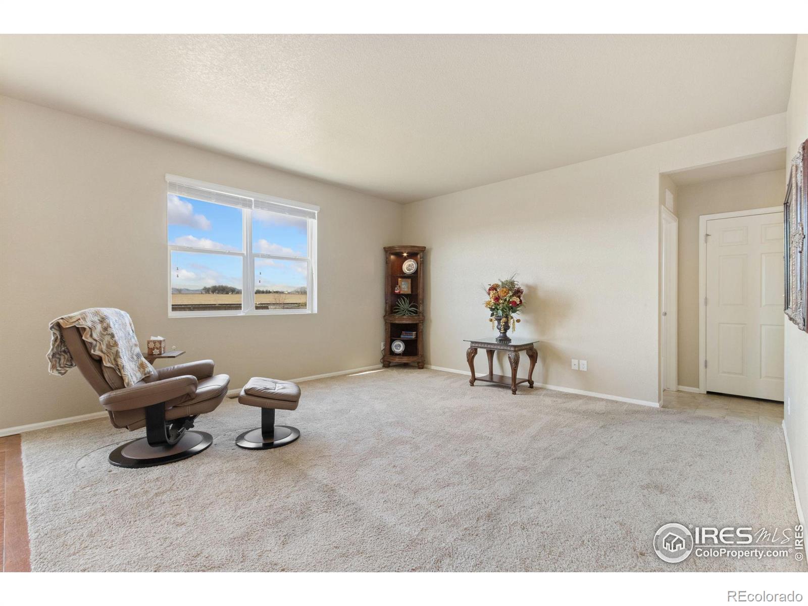 MLS Image #6 for 6463  cranesbill street,wellington, Colorado