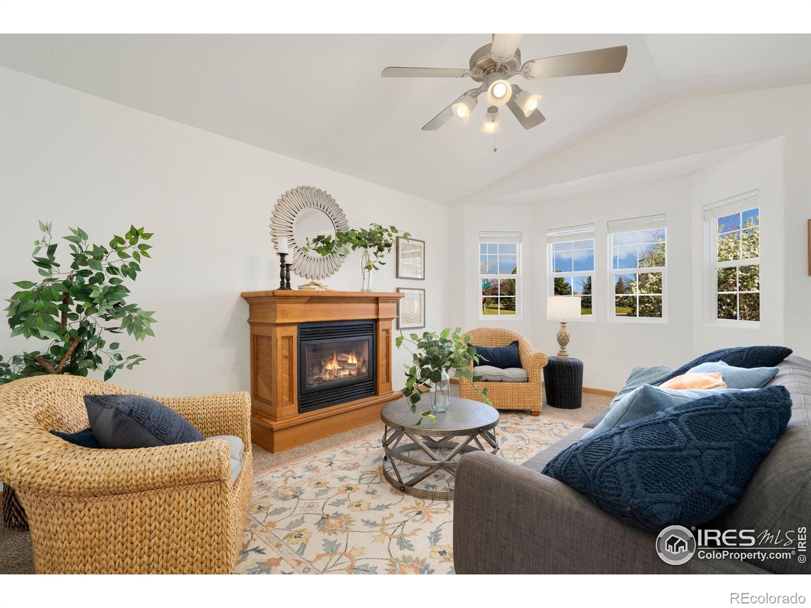 CMA Image for 2578  Silverton Street,Loveland, Colorado
