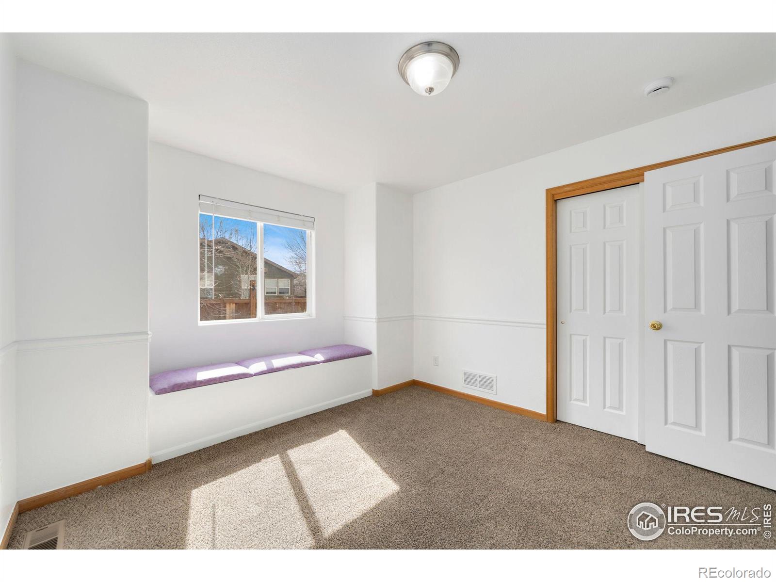 MLS Image #20 for 2578  silverton street,loveland, Colorado