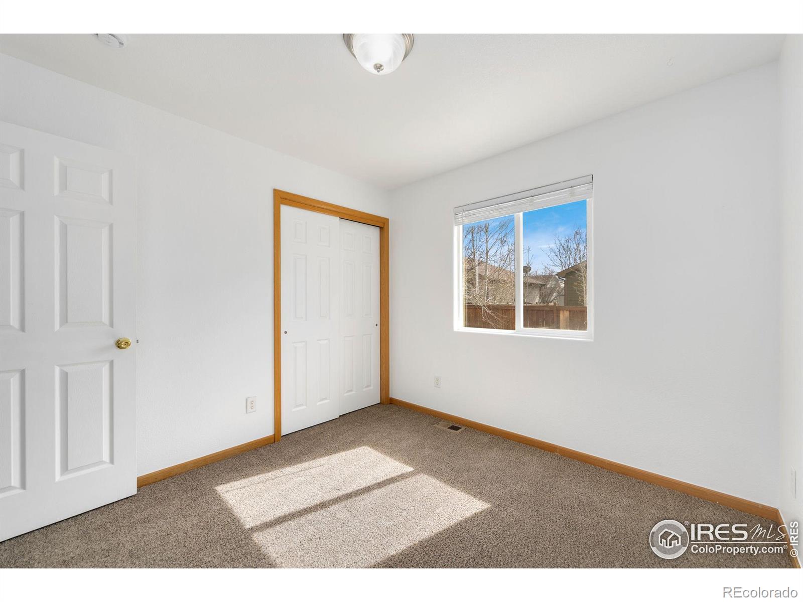 MLS Image #23 for 2578  silverton street,loveland, Colorado