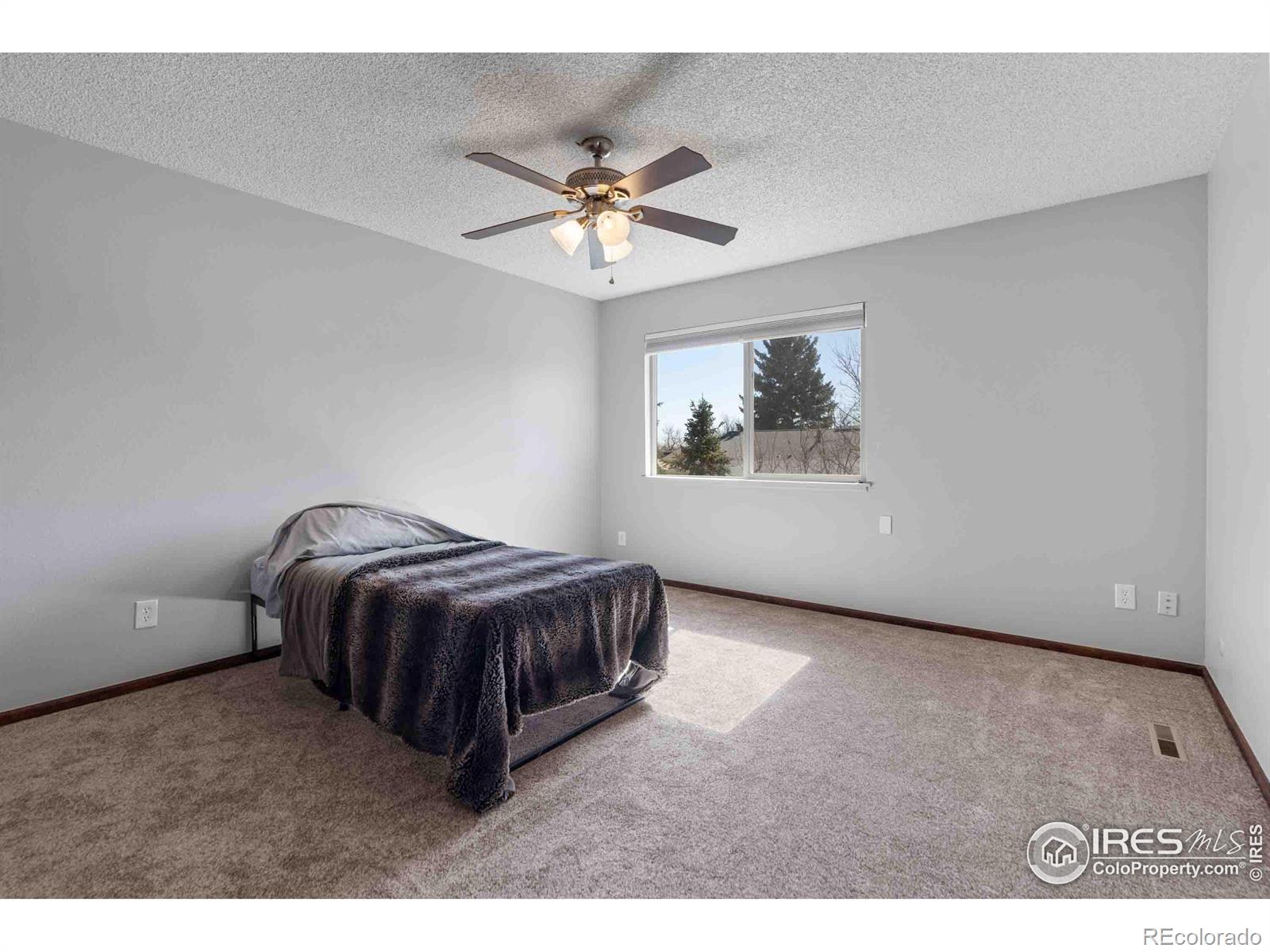 MLS Image #14 for 2943  rams lane,fort collins, Colorado