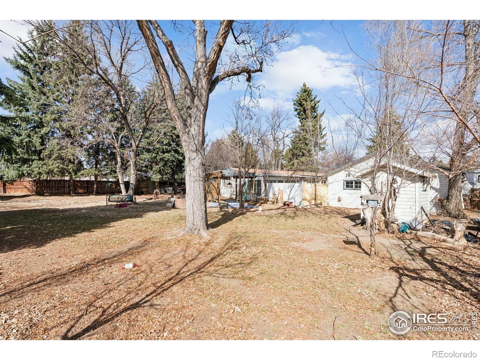 MLS Image #12 for 2021  timberline lane,fort collins, Colorado