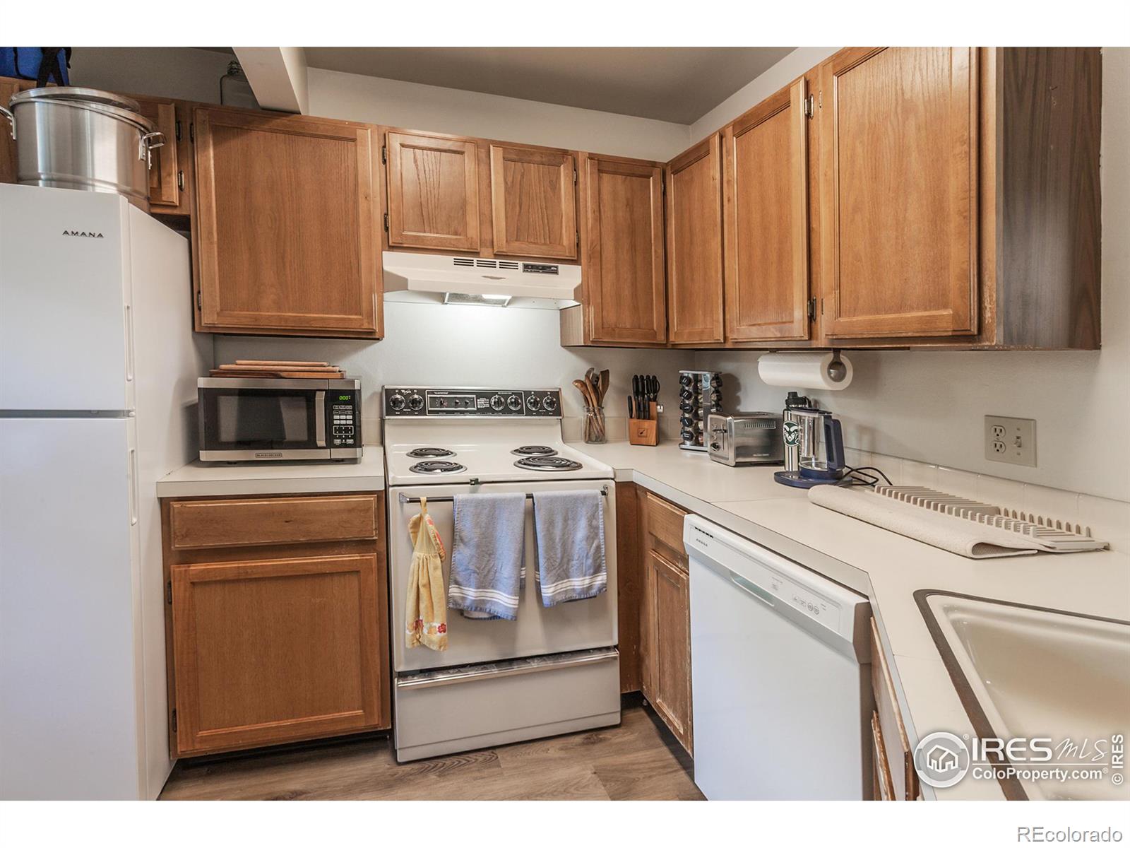 MLS Image #11 for 3565  windmill drive,fort collins, Colorado