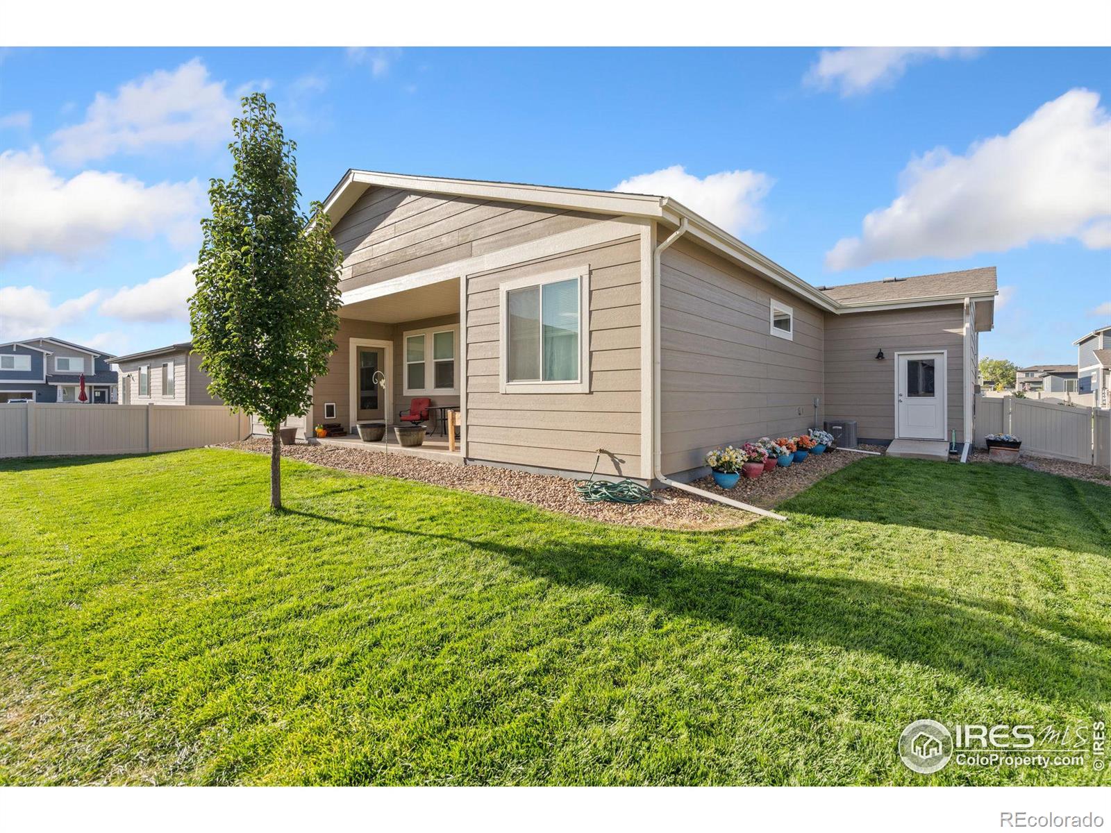 MLS Image #22 for 3763  buckthorn street,wellington, Colorado