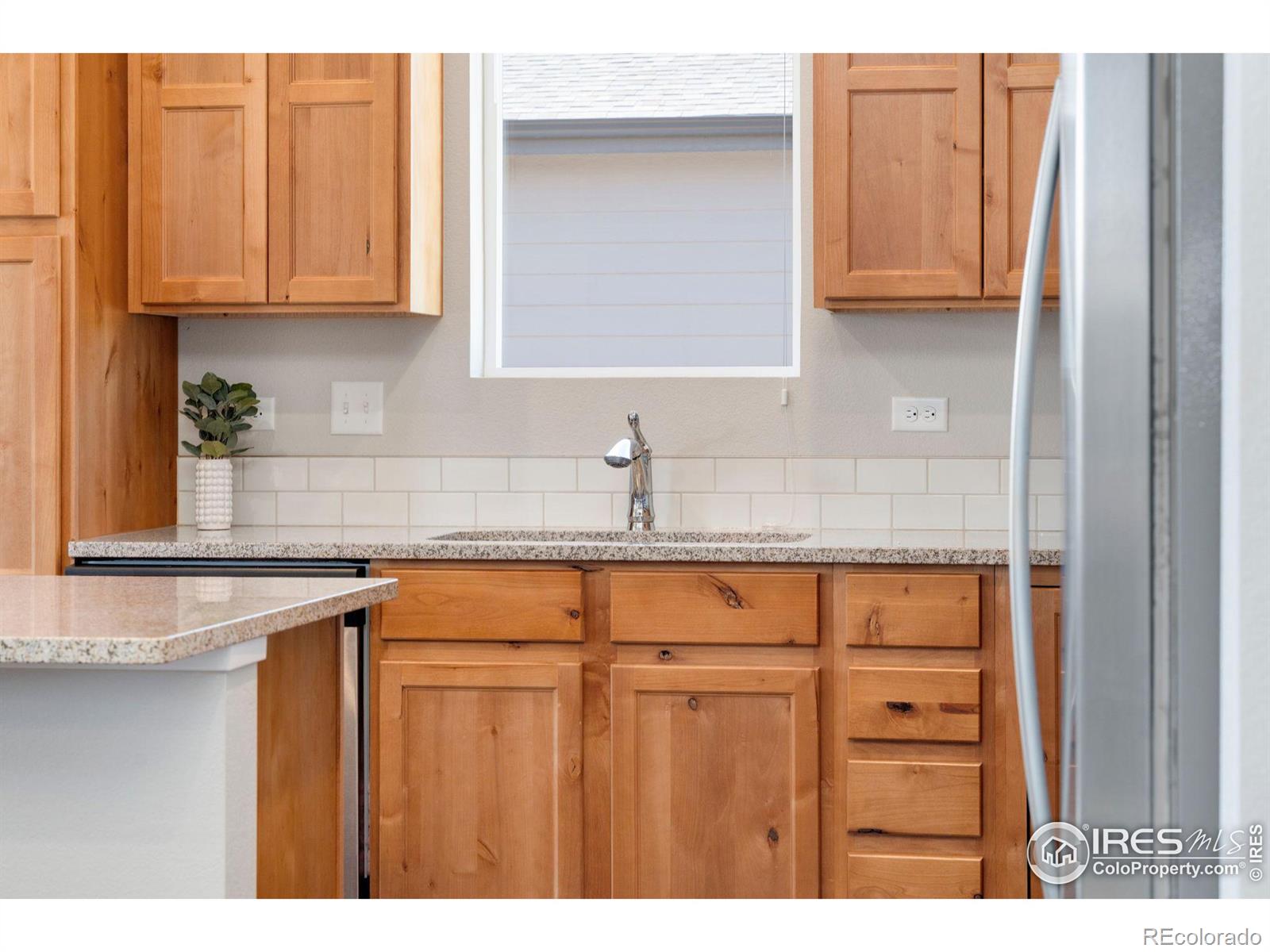 MLS Image #9 for 3763  buckthorn street,wellington, Colorado