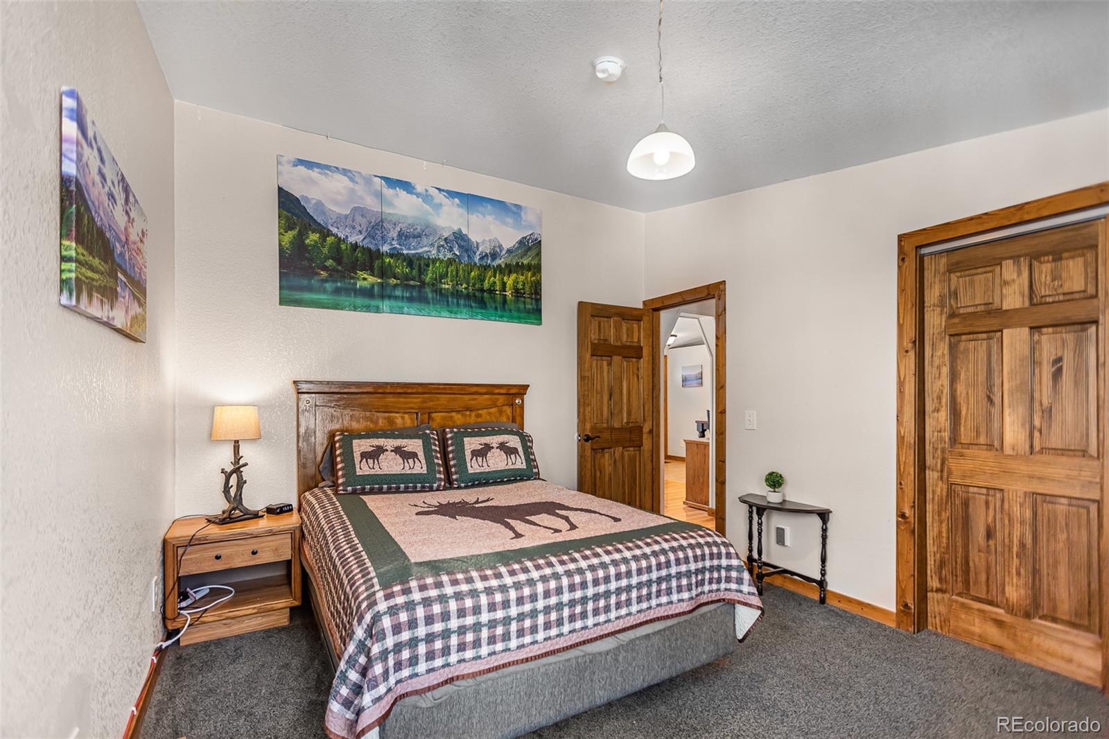 MLS Image #18 for 2436  high creek road,fairplay, Colorado