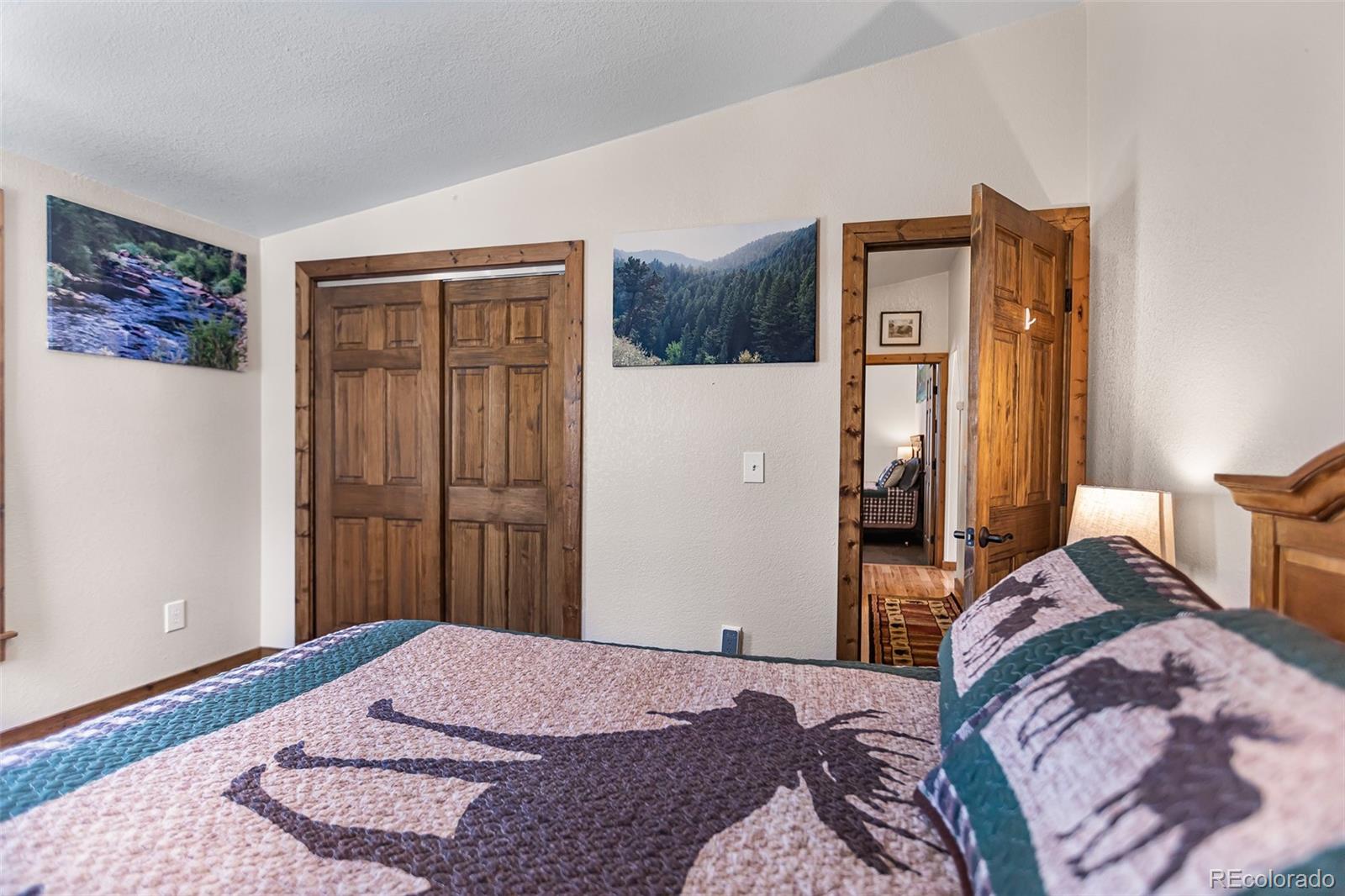 MLS Image #20 for 2436  high creek road,fairplay, Colorado