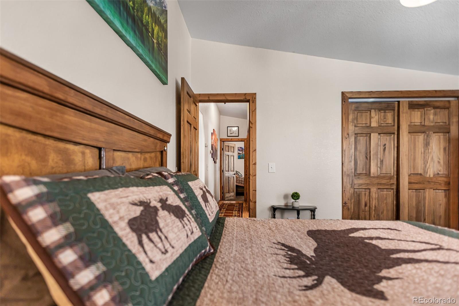 MLS Image #27 for 2436  high creek road,fairplay, Colorado