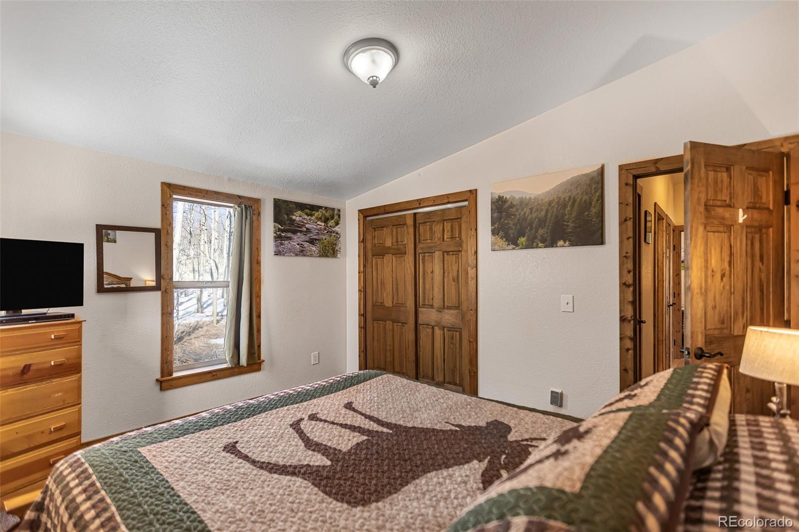 MLS Image #31 for 2436  high creek road,fairplay, Colorado