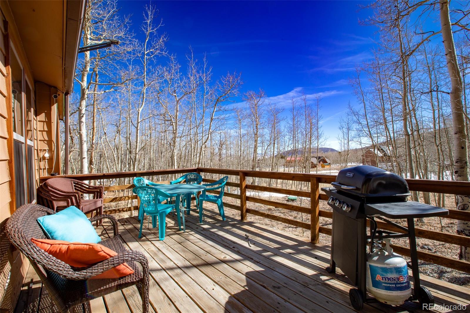 MLS Image #38 for 2436  high creek road,fairplay, Colorado