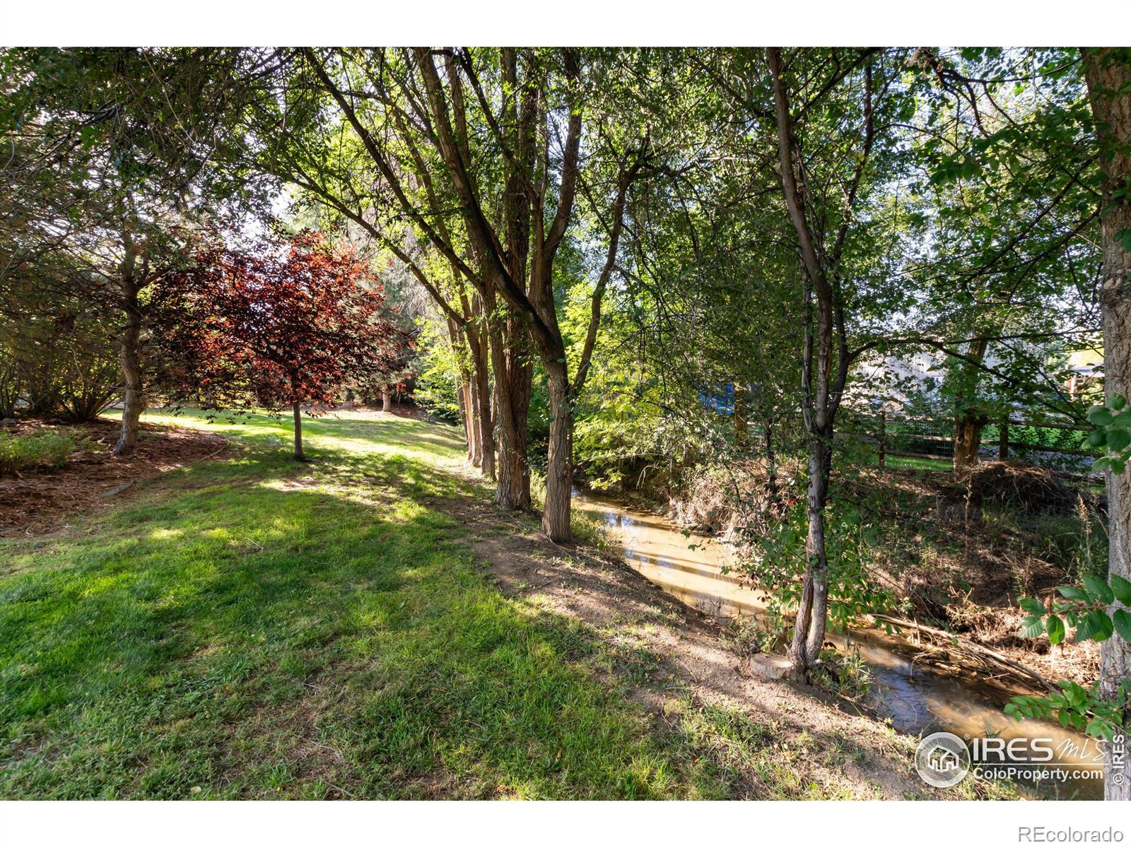 MLS Image #3 for 9539 n 89th street,longmont, Colorado