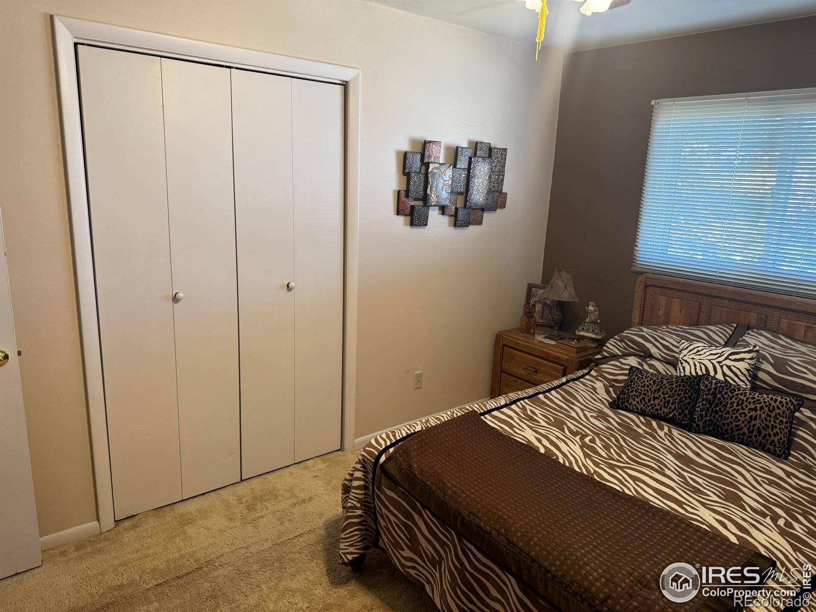 MLS Image #18 for 915  heather street,sterling, Colorado