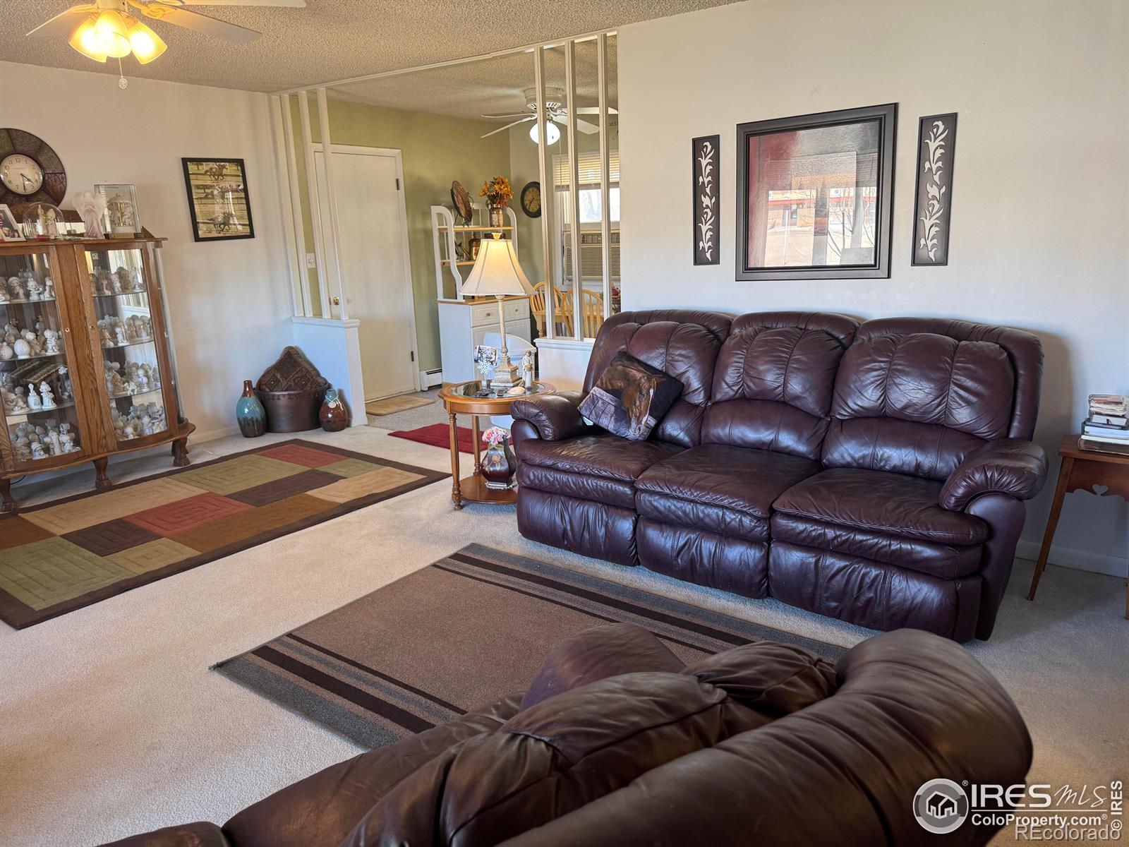 MLS Image #8 for 915  heather street,sterling, Colorado