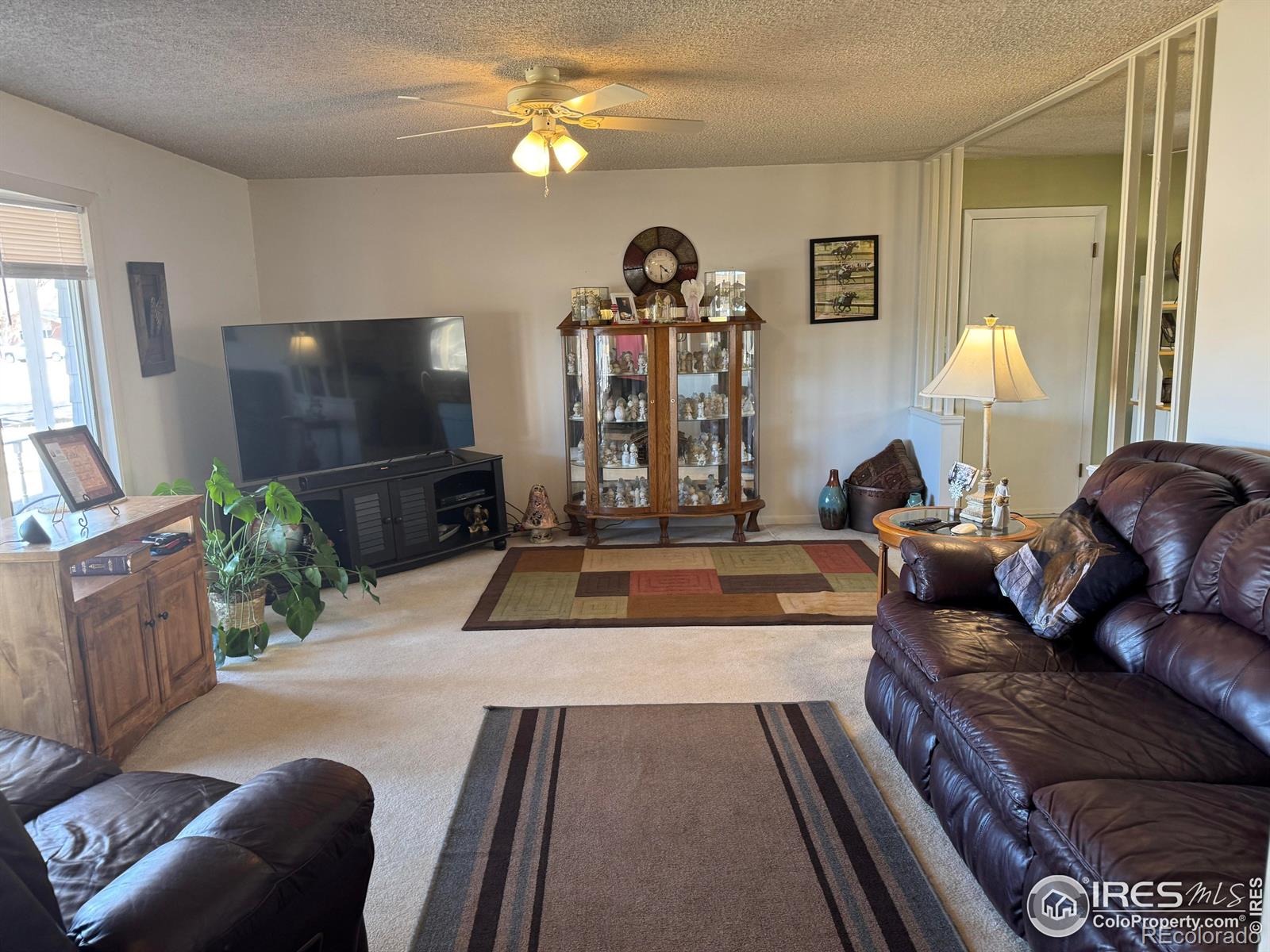 MLS Image #9 for 915  heather street,sterling, Colorado