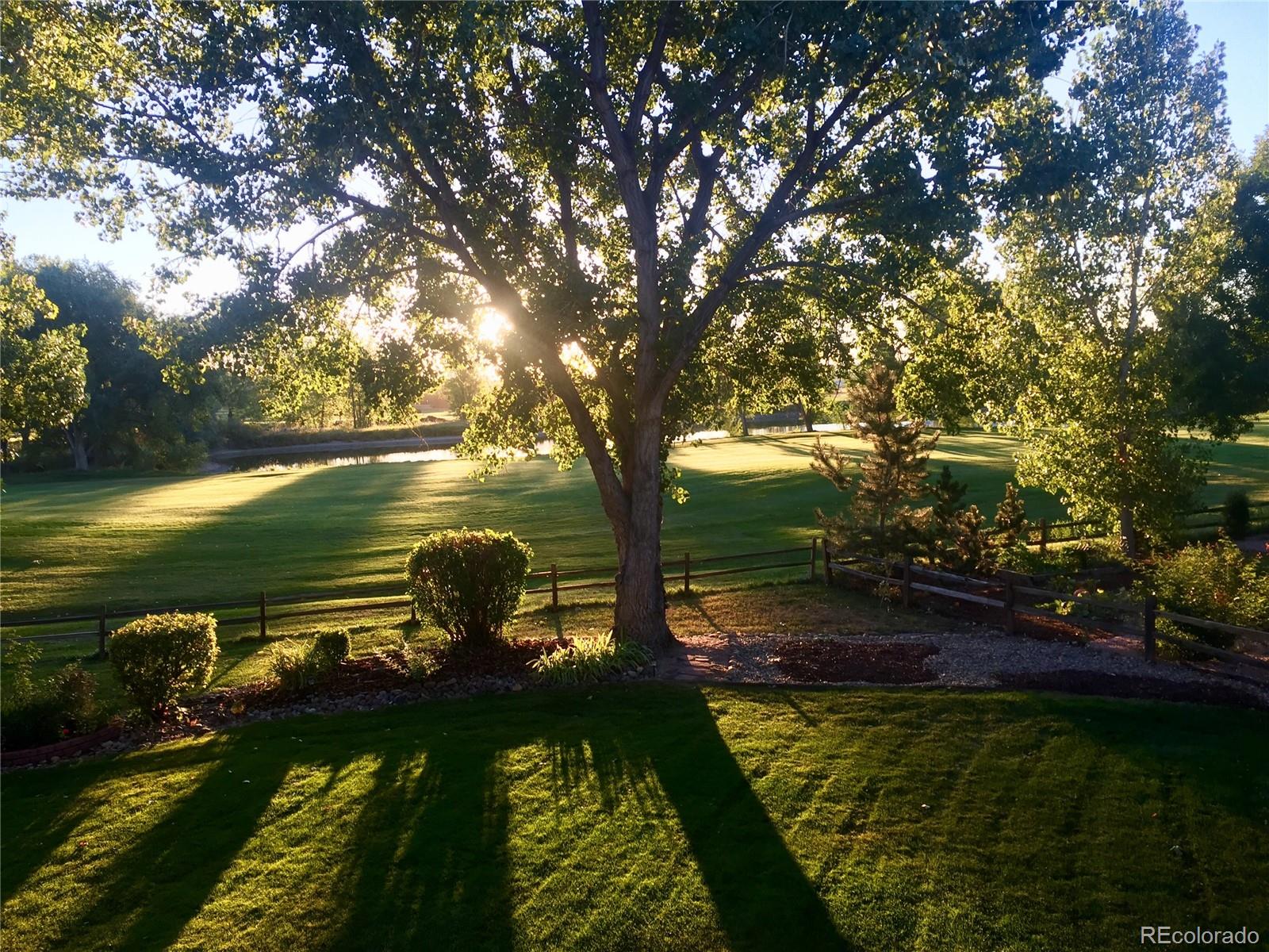 MLS Image #2 for 4133  niblick drive,longmont, Colorado