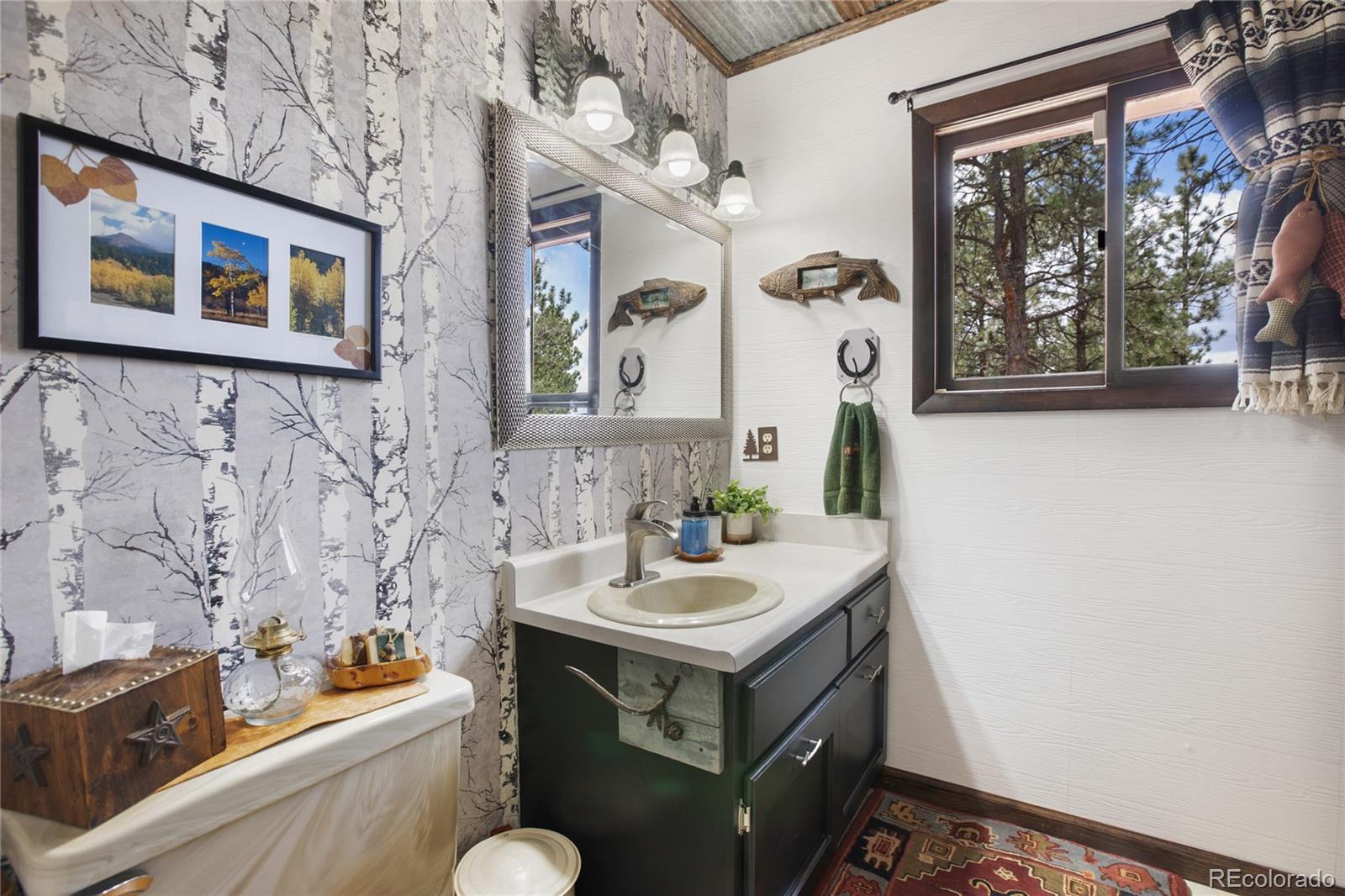 MLS Image #21 for 2169  spruce road,woodland park, Colorado