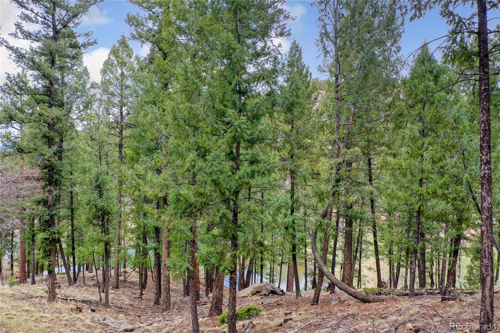MLS Image #42 for 2169  spruce road,woodland park, Colorado