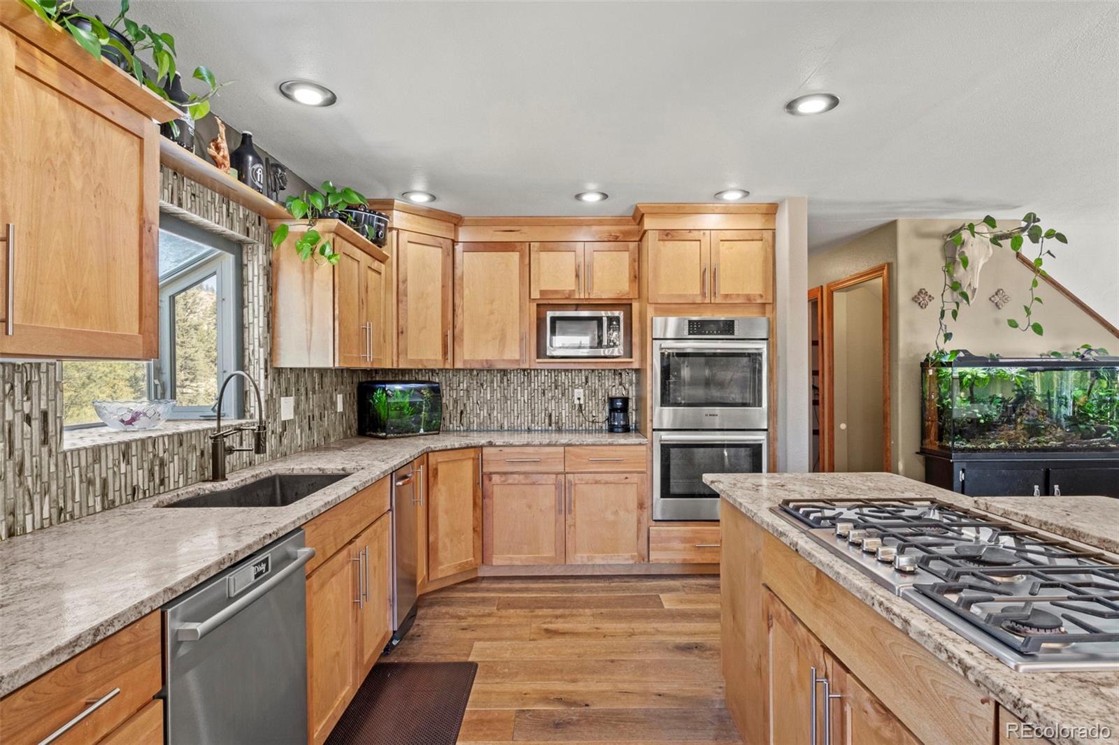 MLS Image #1 for 1738  wildhorn road,florissant, Colorado