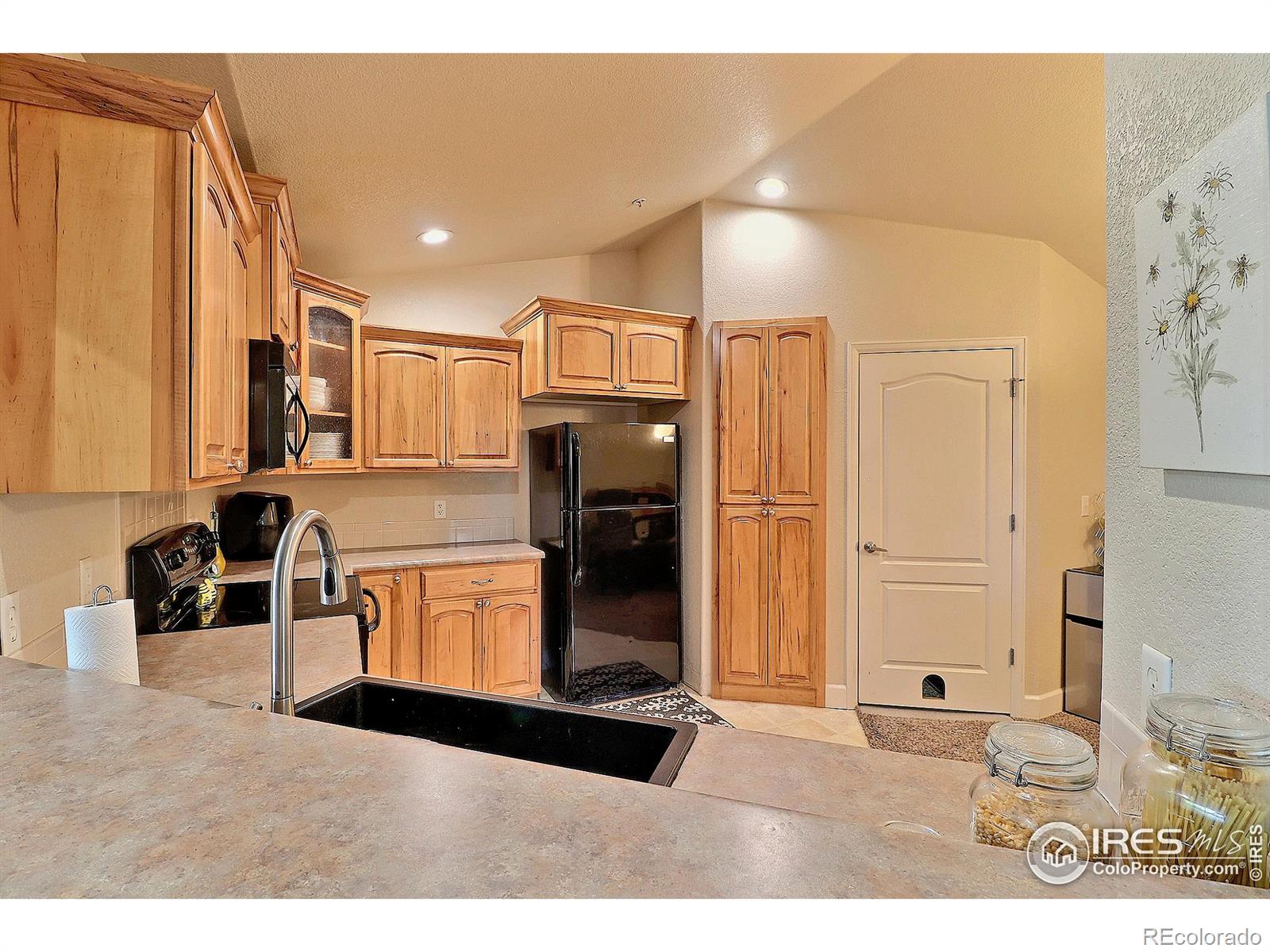 MLS Image #13 for 4101  crittenton lane,wellington, Colorado