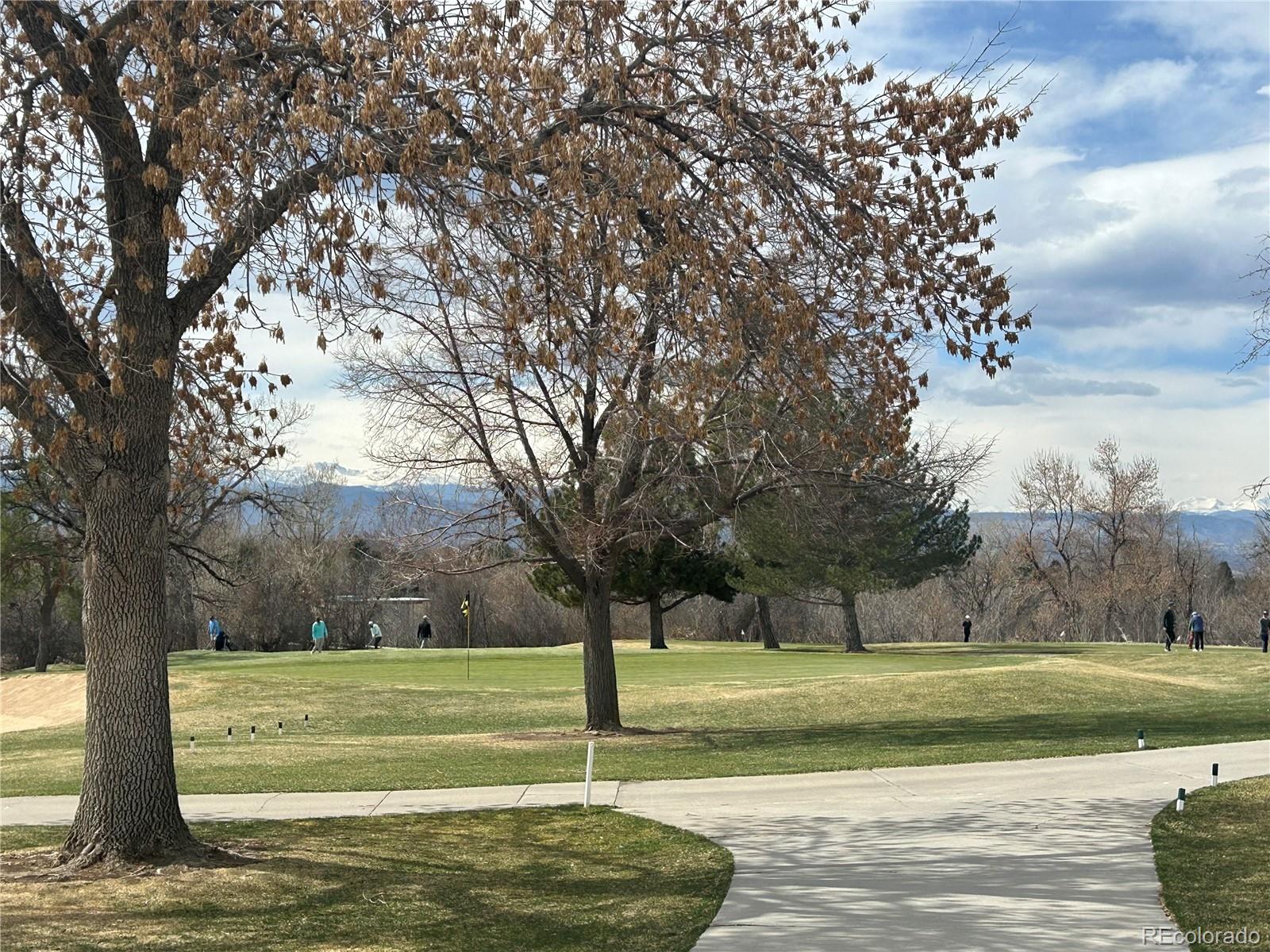 MLS Image #41 for 3201 s albion street,denver, Colorado